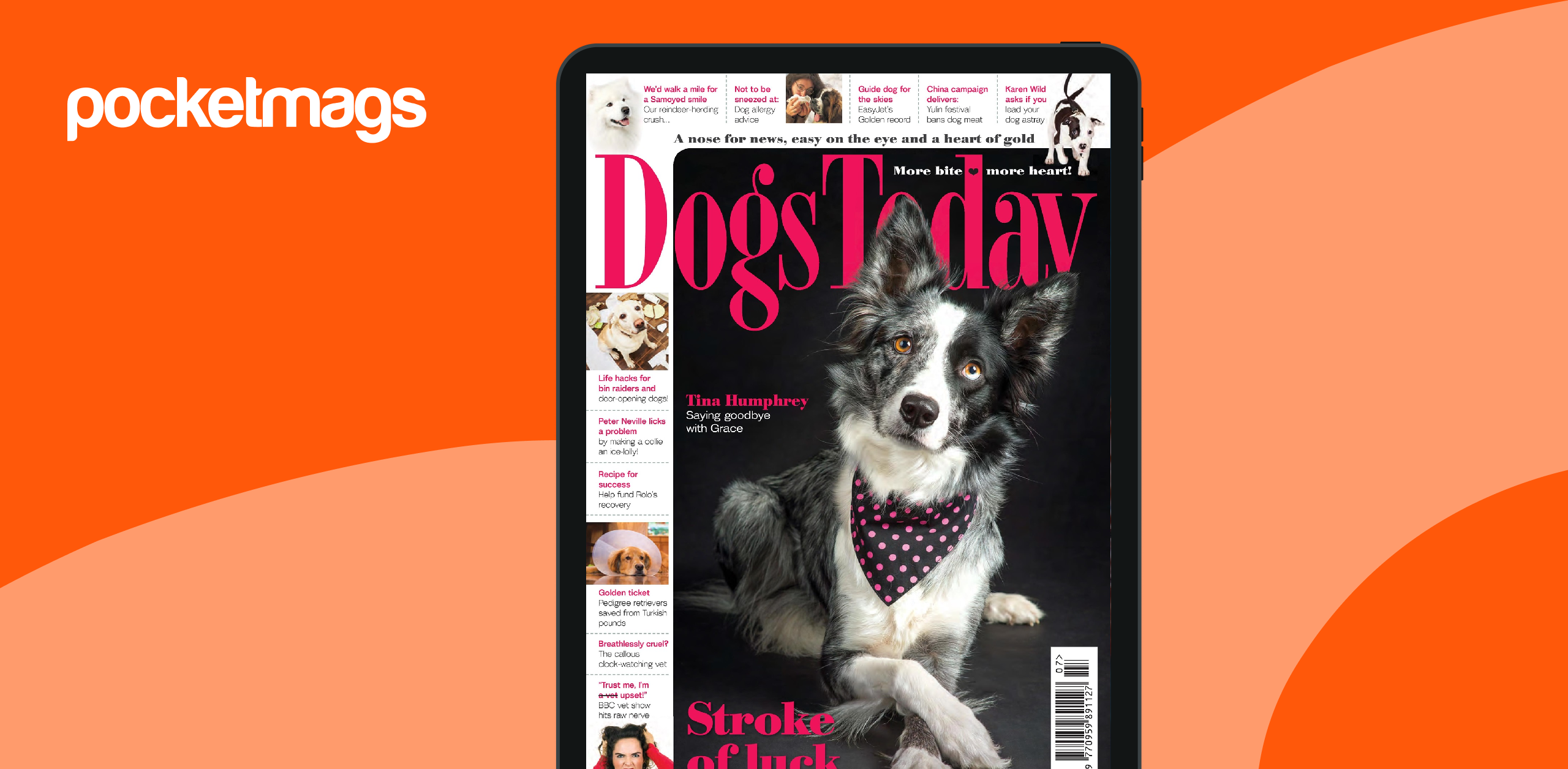 Dogs Today Magazine July 2017 Back Issue