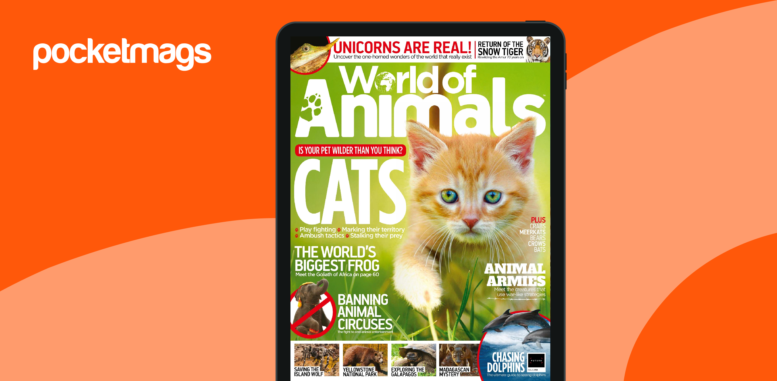 World of Animals Magazine - Issue 58 Back Issue