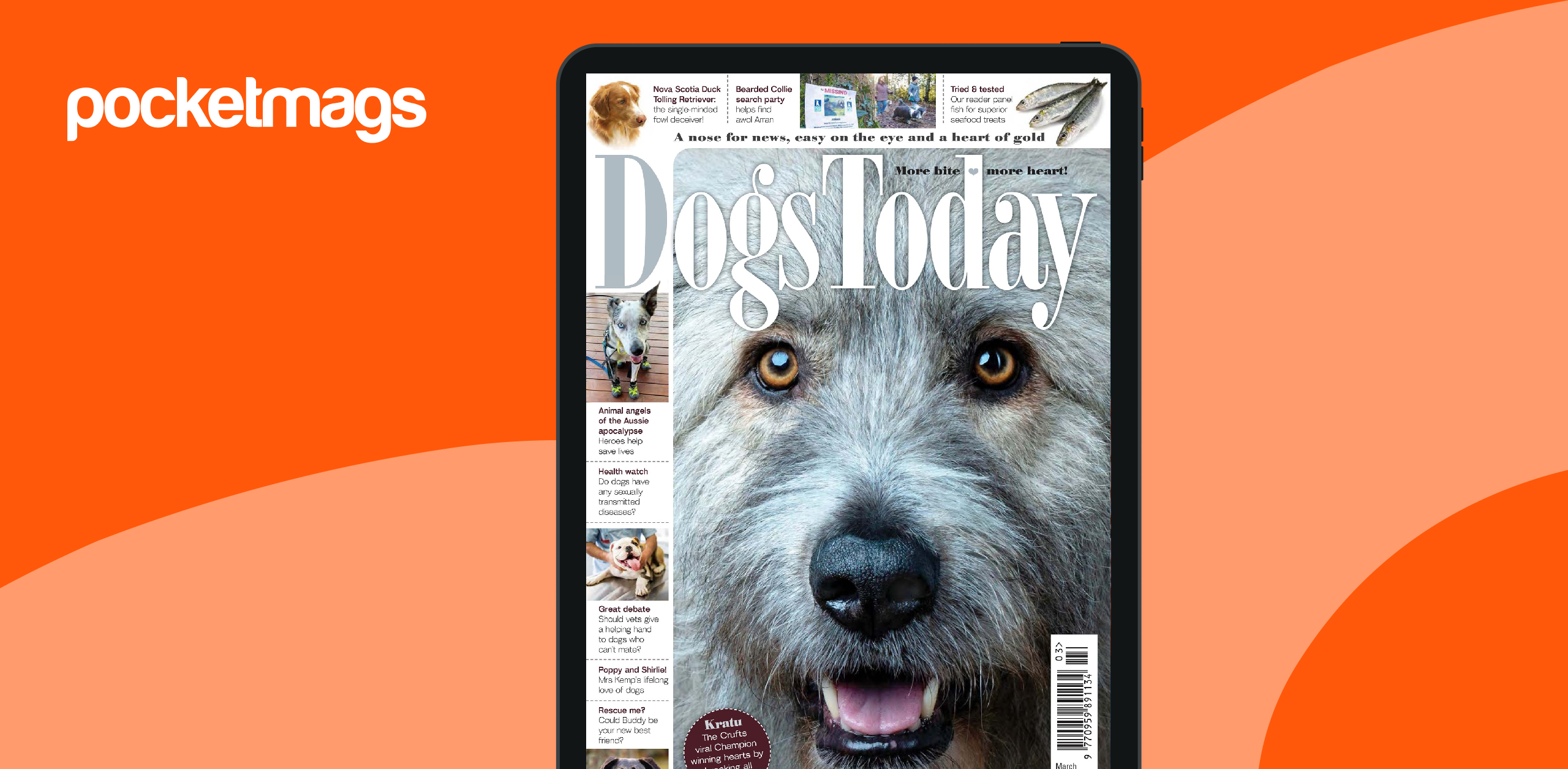 Dogs Today Magazine March 2020 Back Issue