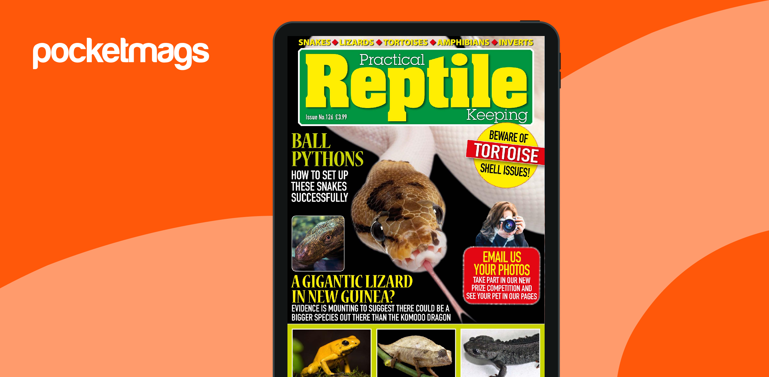 Reptiles All My Pets 2019 Petsmart Reptile Top Roundup 2019