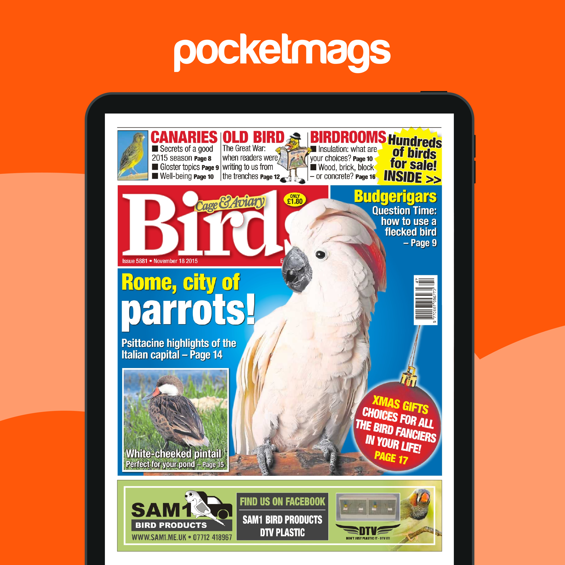 Wild Parrots Rome Cage & Aviary Birds Magazine - No. 5881 Rome, City Of Parrots Edición ...
