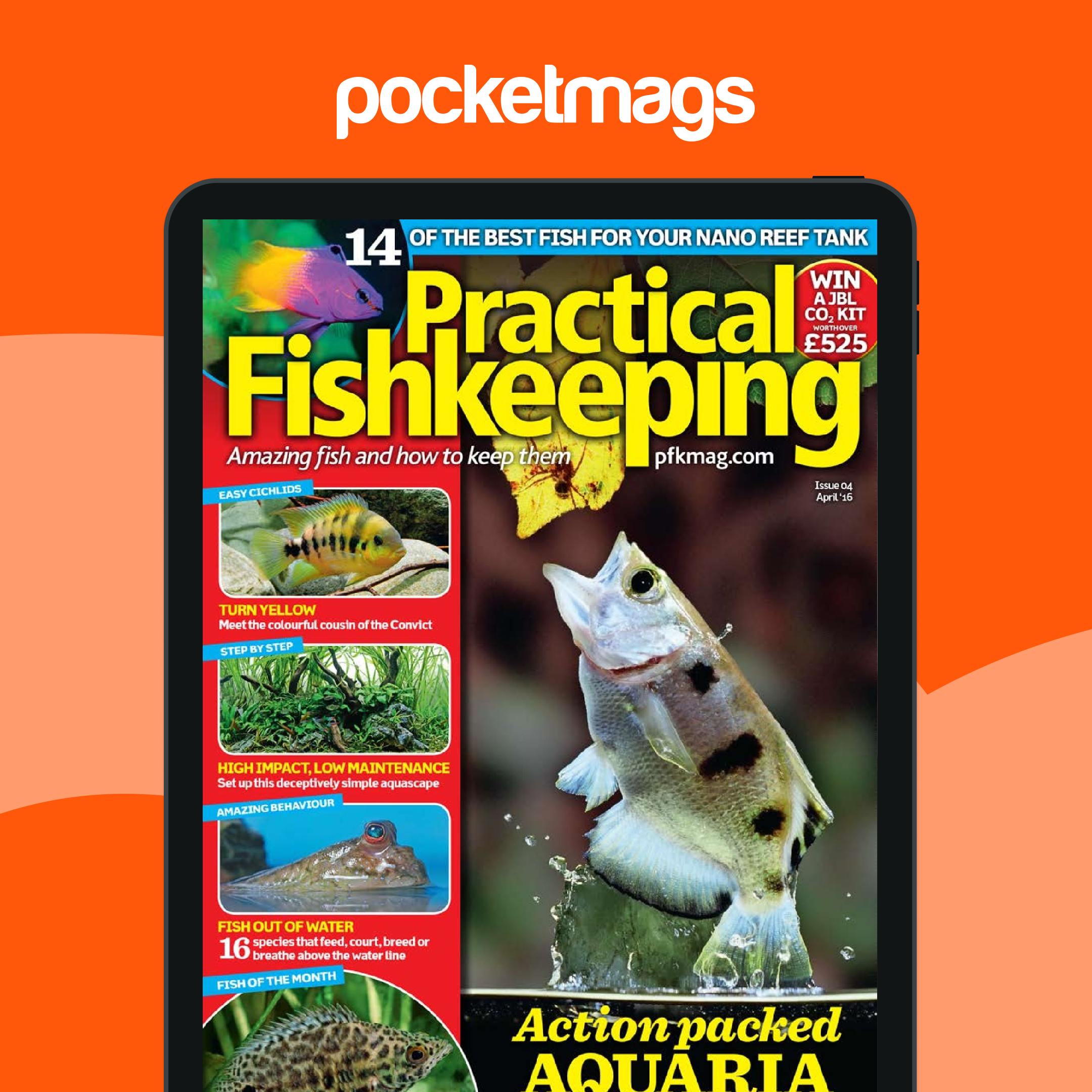 Fish Magazine Examples Practical Fishkeeping Magazine - April 2016 Back Issue