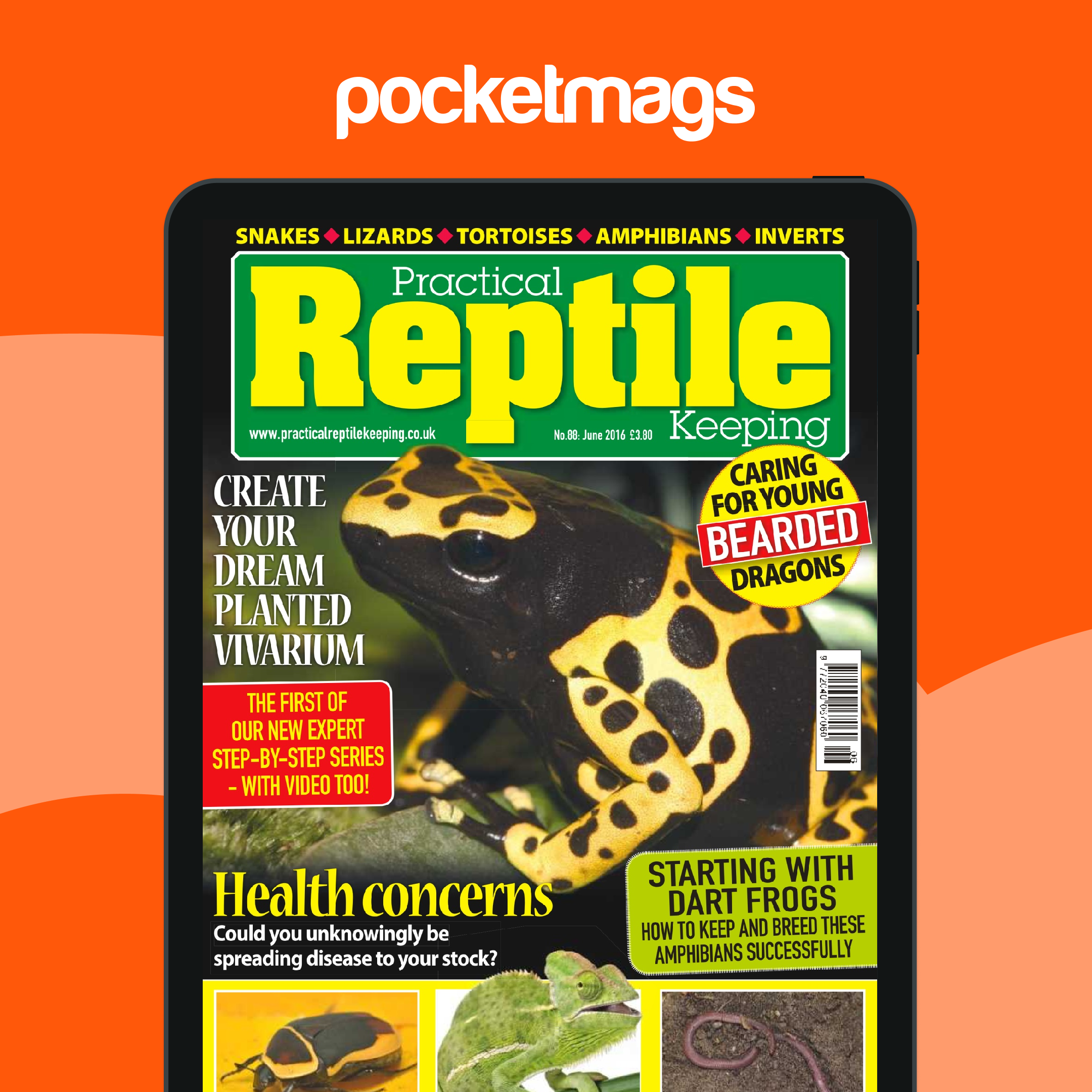 Image showcasing Practical Reptile Keeping Magazine - No. 88 Health Concerns Back Issue