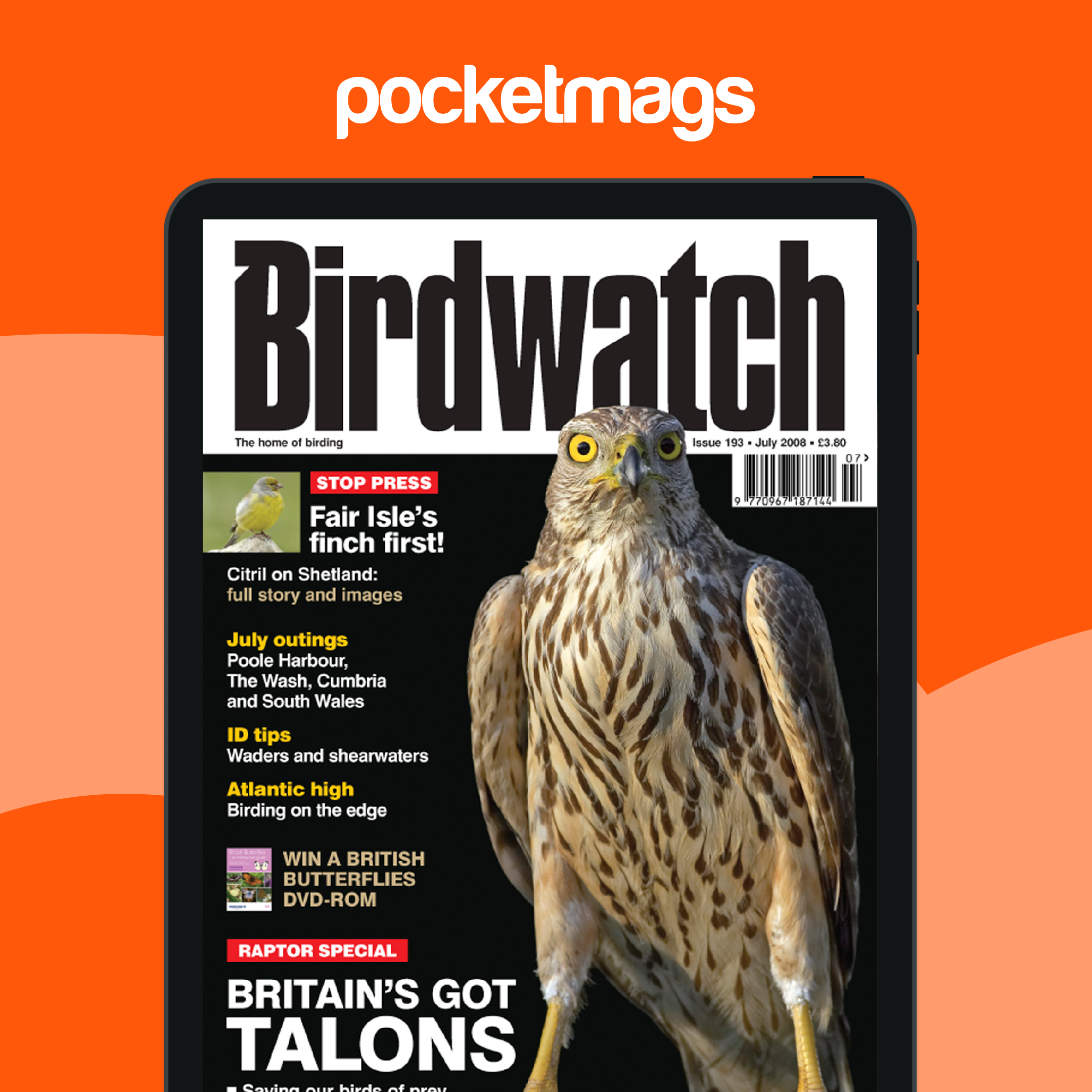 Birdwatch Magazine July 2008 Back Issue
