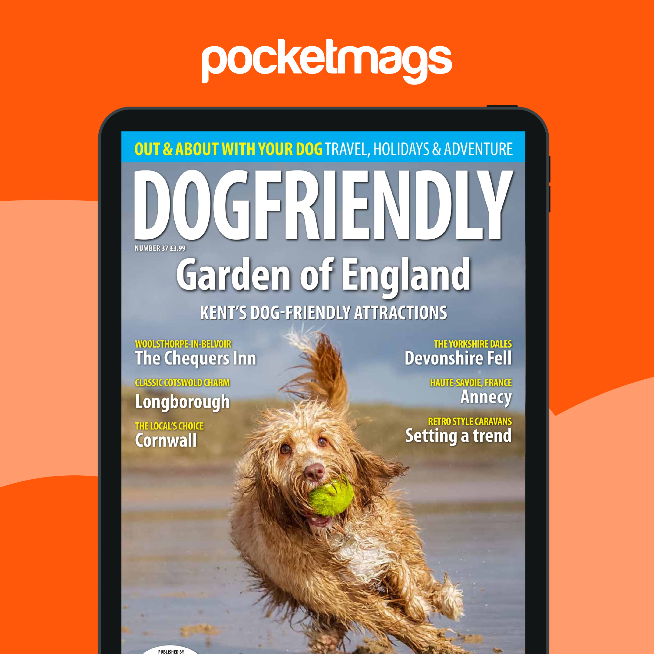 Dog Friendly Vacation Spots Places To Visit With Your Dog Friendly