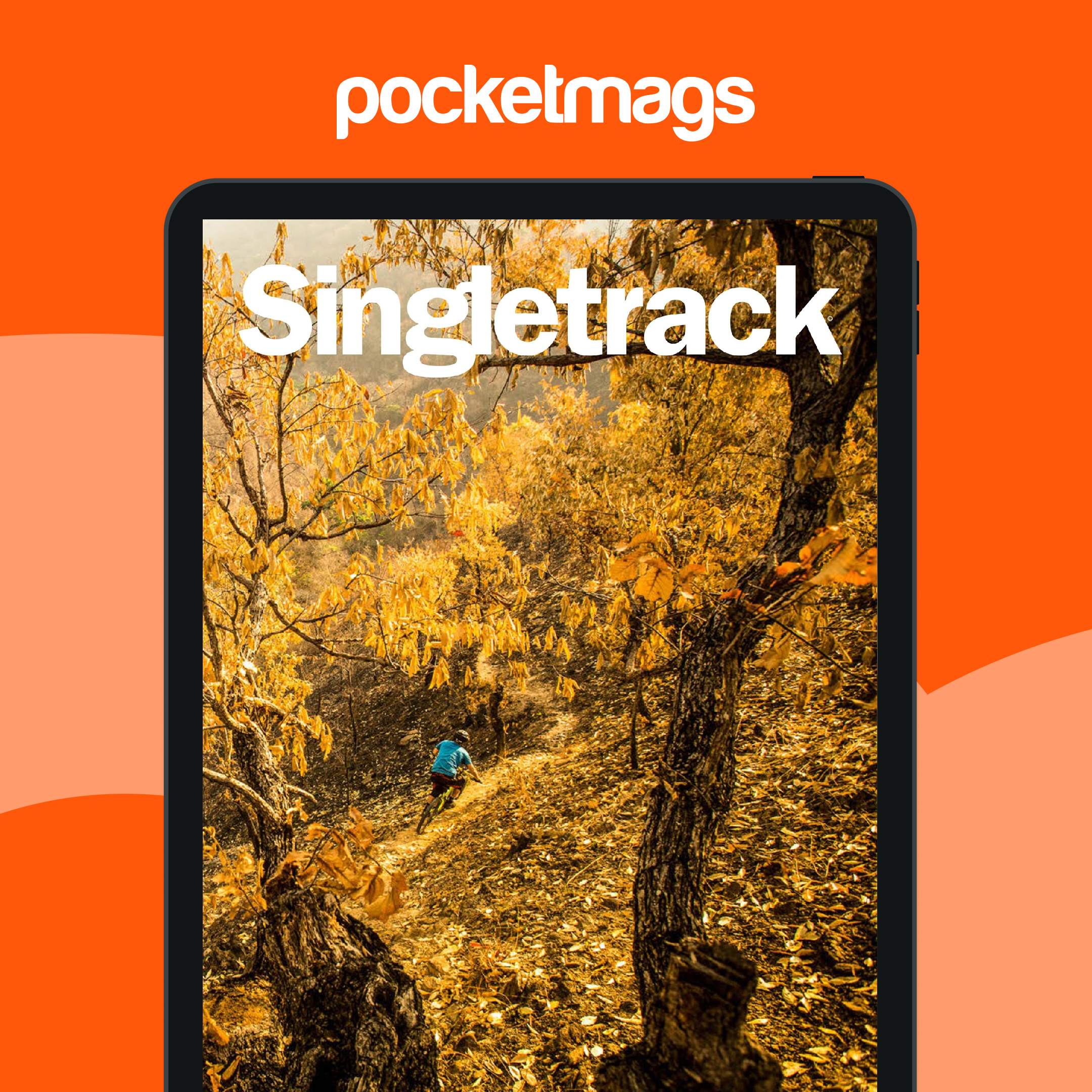 Singletrack Magazine 115 Back Issue - Main Image