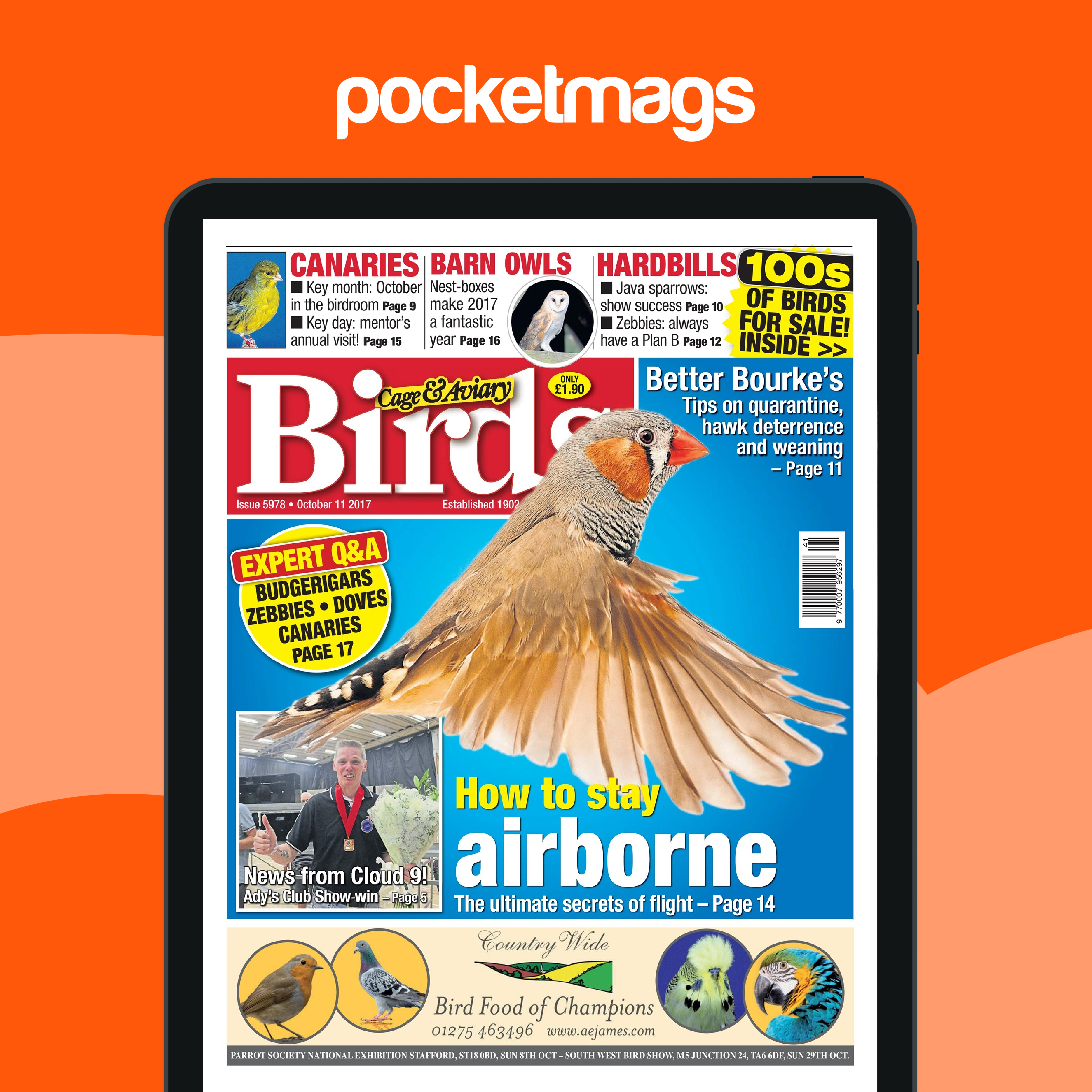 Cage & Aviary Birds Magazine - 11 October 2017 Back Issue