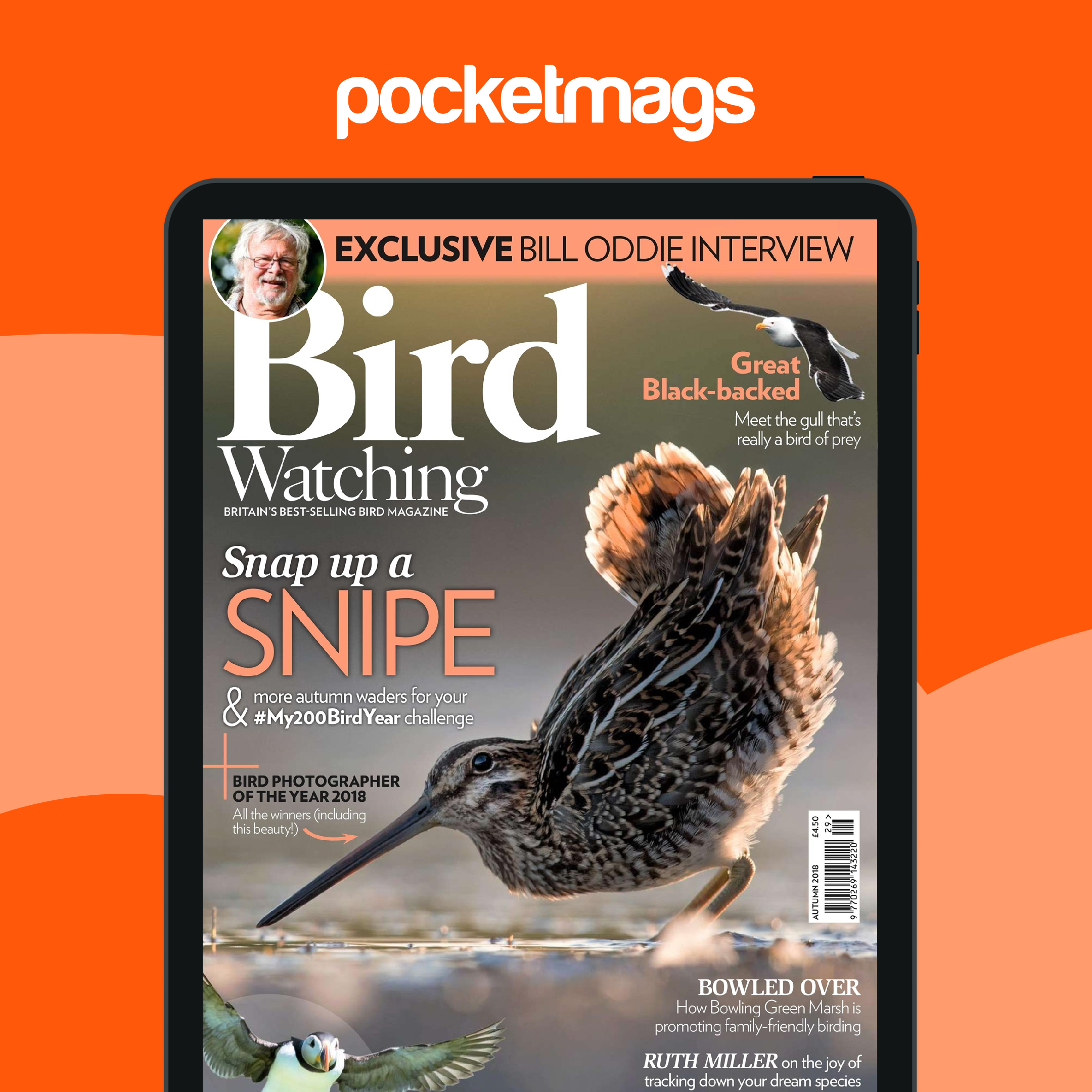 Bird Watching Magazine - Autumn 2018 Back Issue