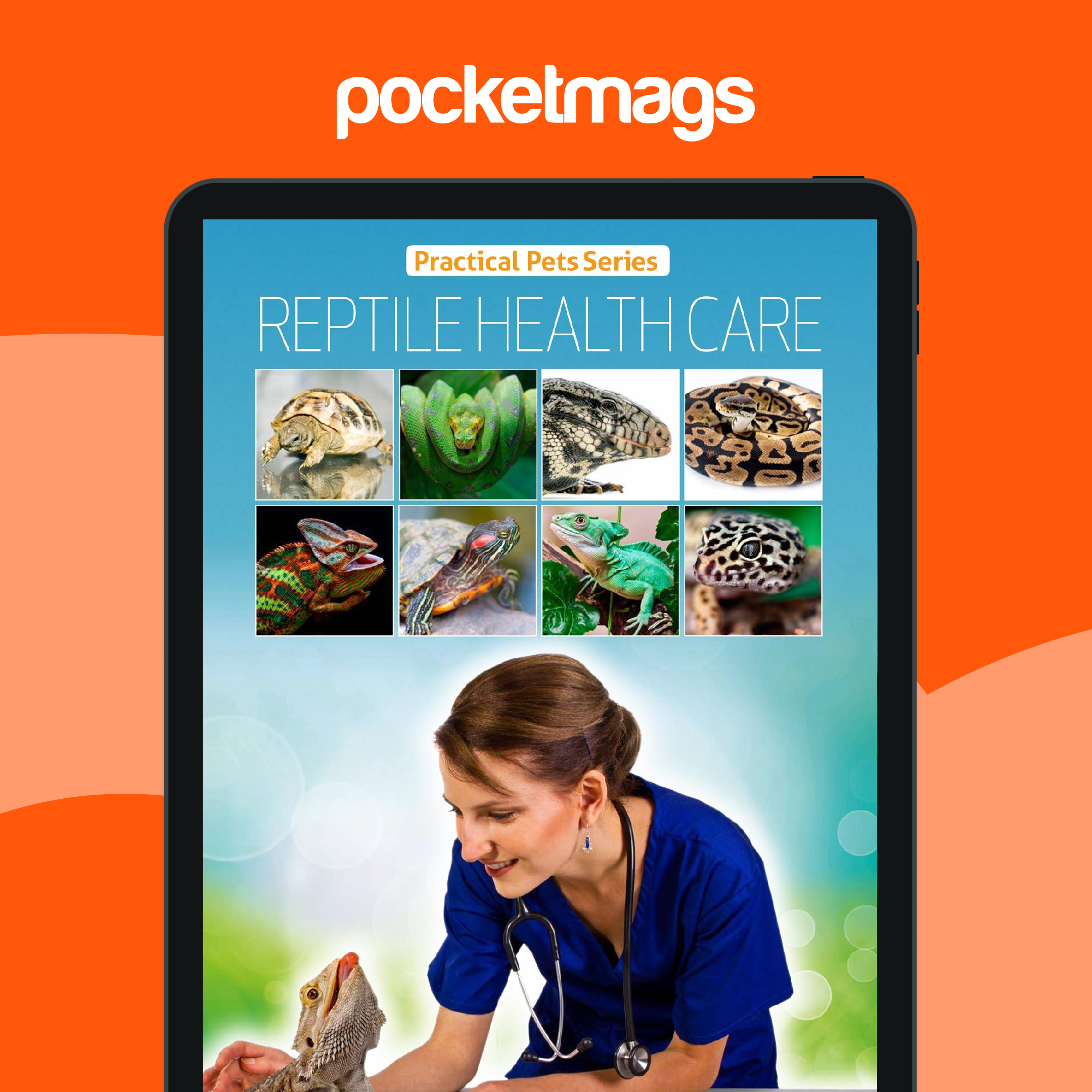 Stunning Reptile Scale Issues Health image