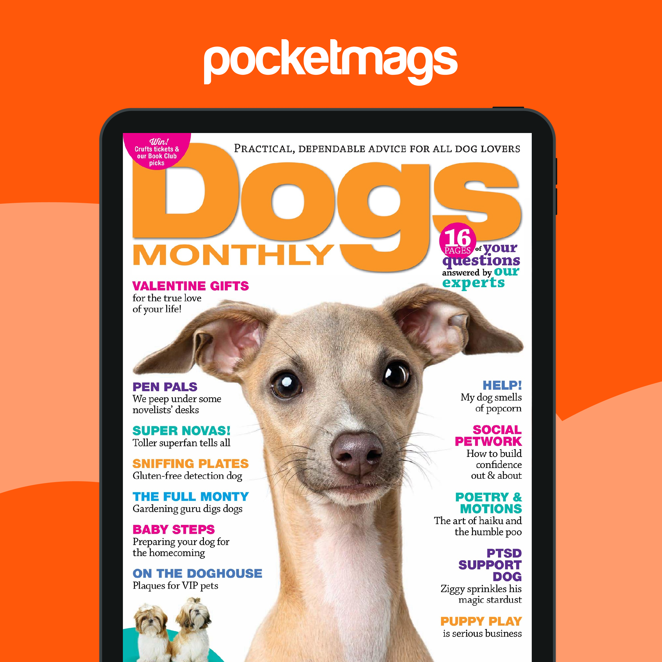 Dogs Monthly Magazine - February 2019 Back Issue