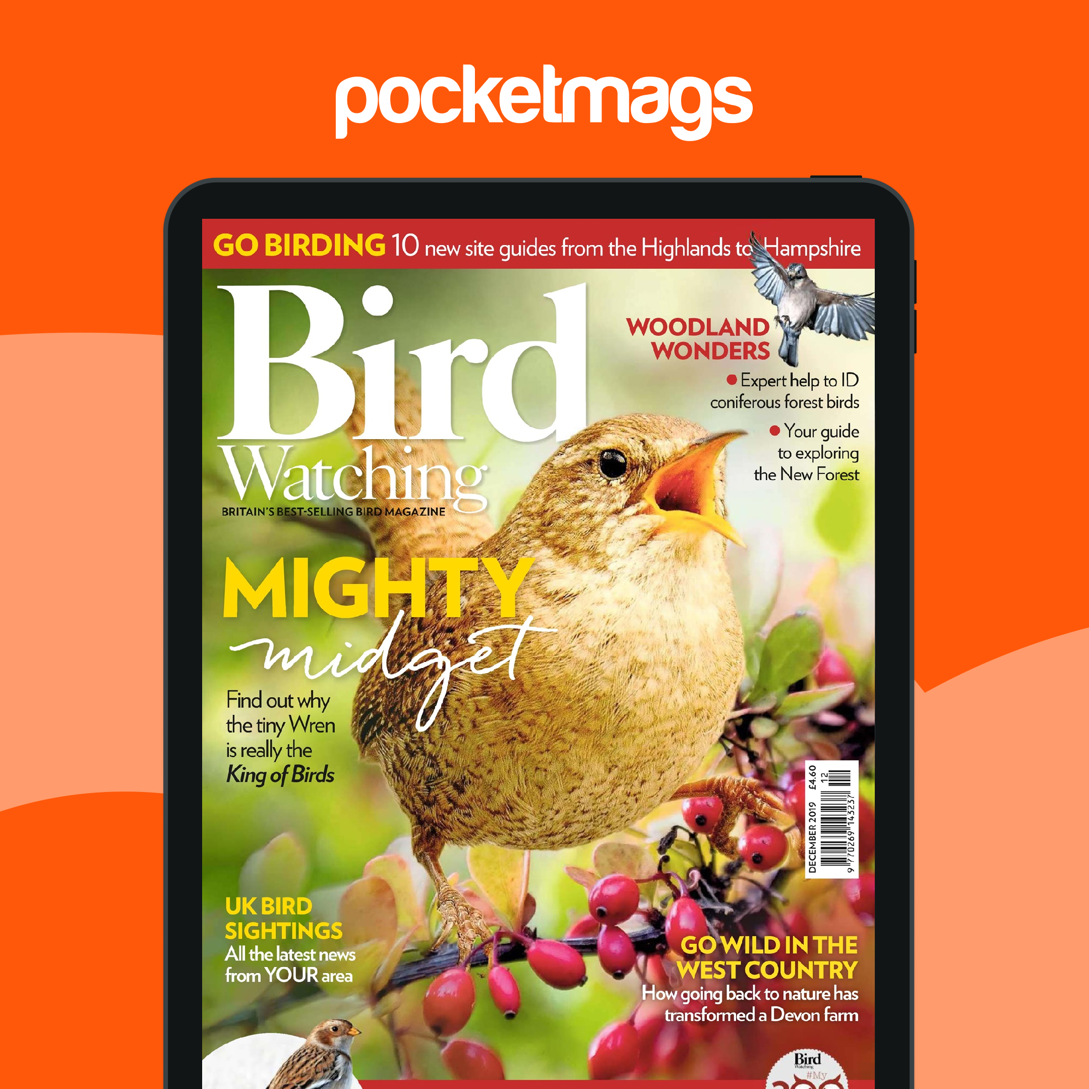 Bird Watching Magazine - December 2019 Back Issue