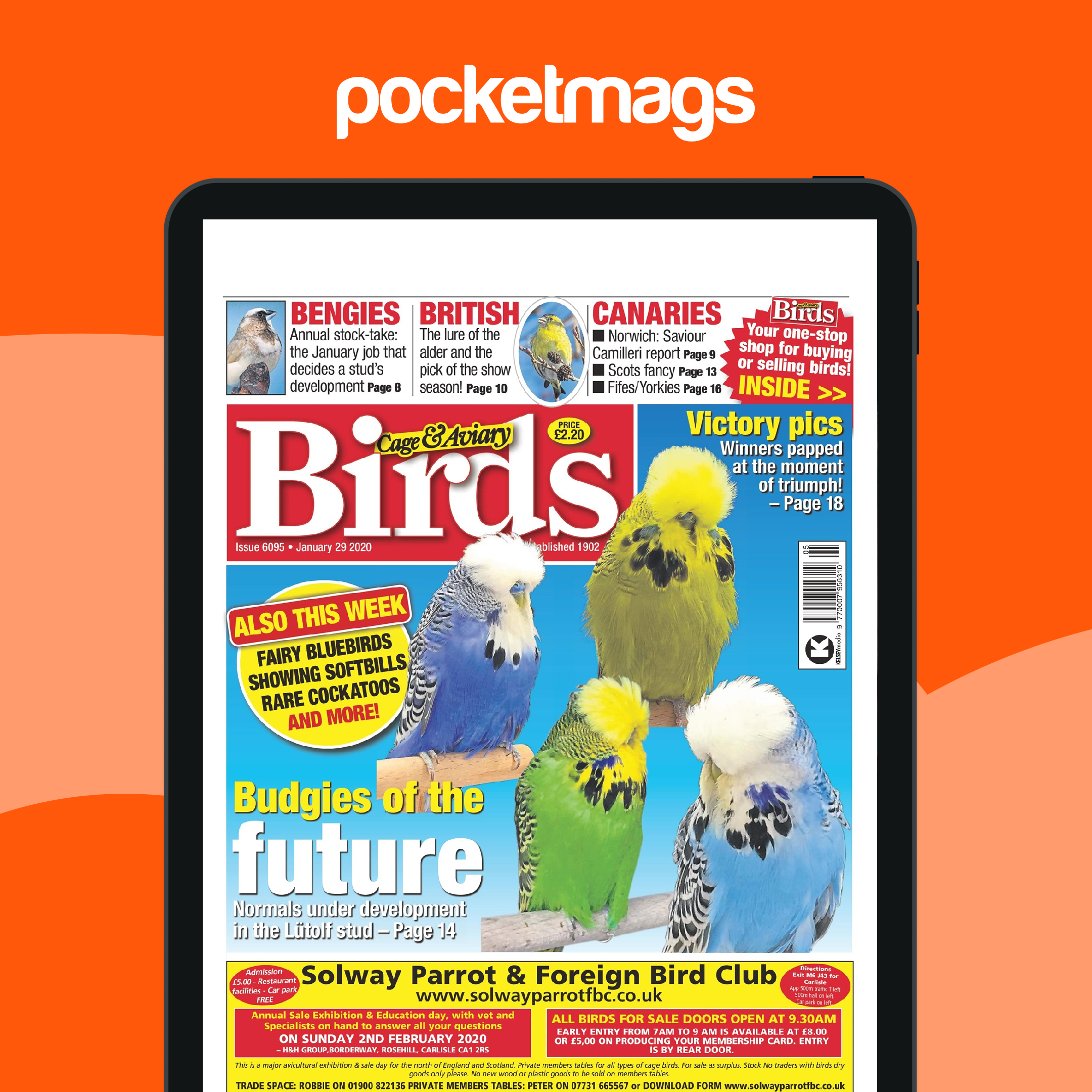 Cage & Aviary Birds Magazine - 29/01/2020 Back Issue