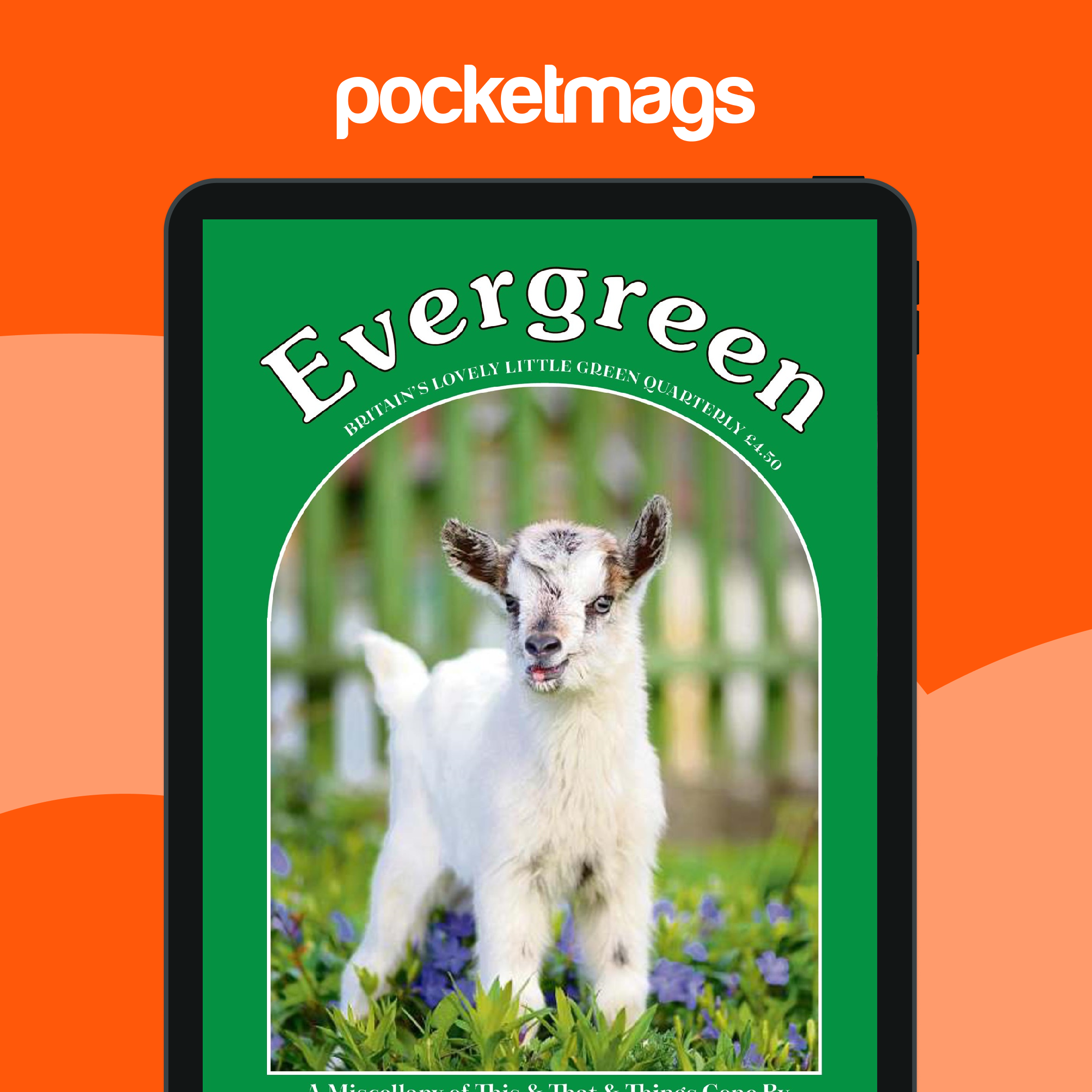 Evergreen Magazine - Spring 2020 Back Issue