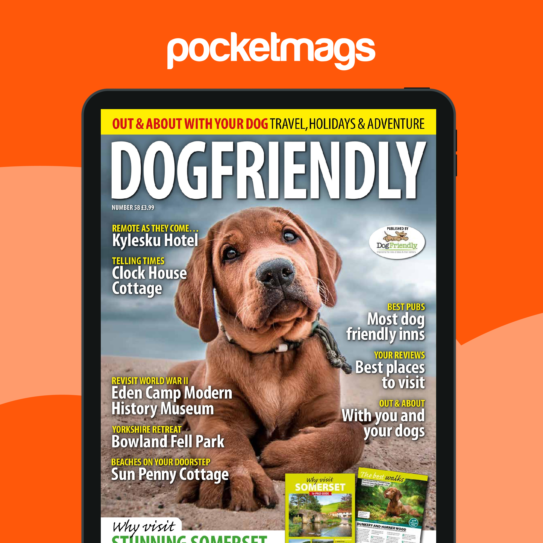 Pet Friendly Destinations Places To Visit With Your Dog Beach Best