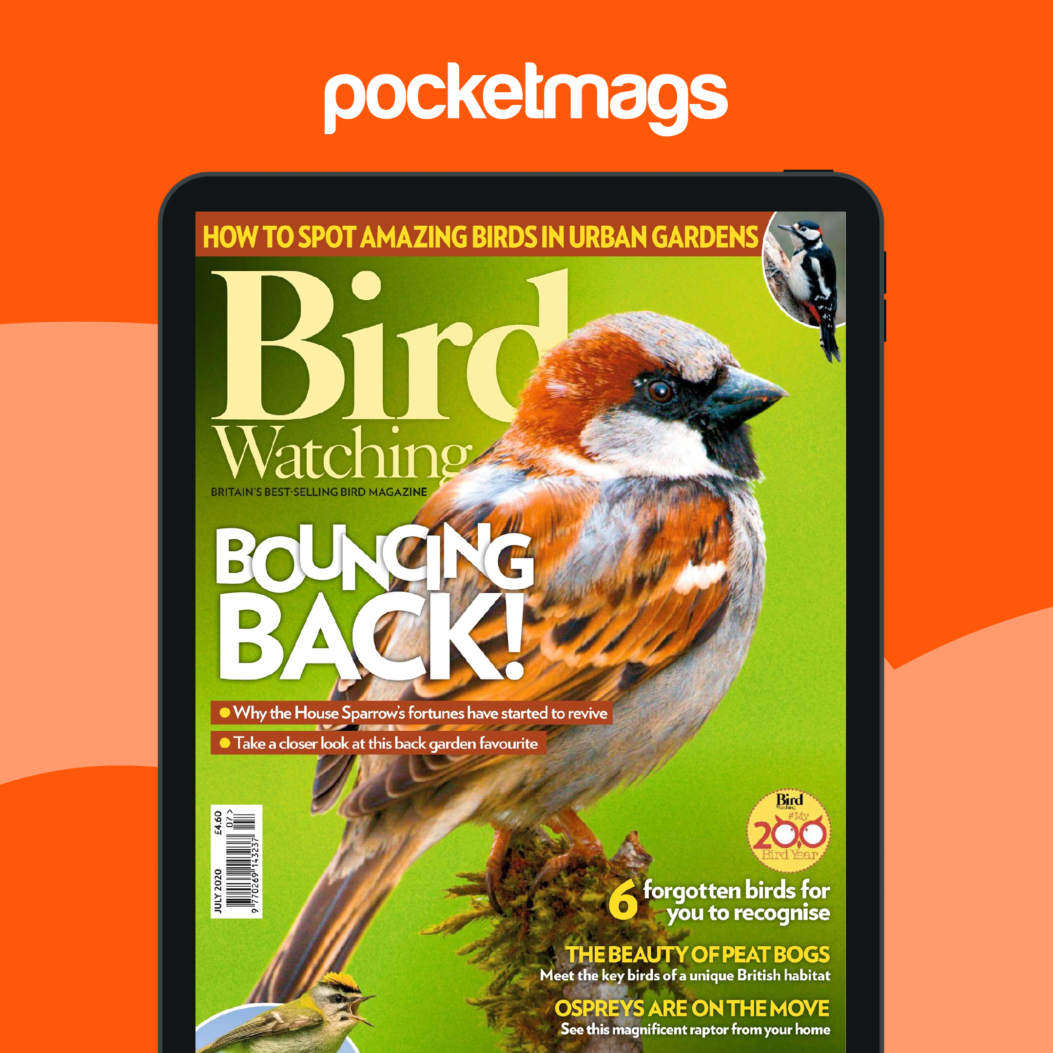 Bird Watching Magazine - Jul 20 Back Issue