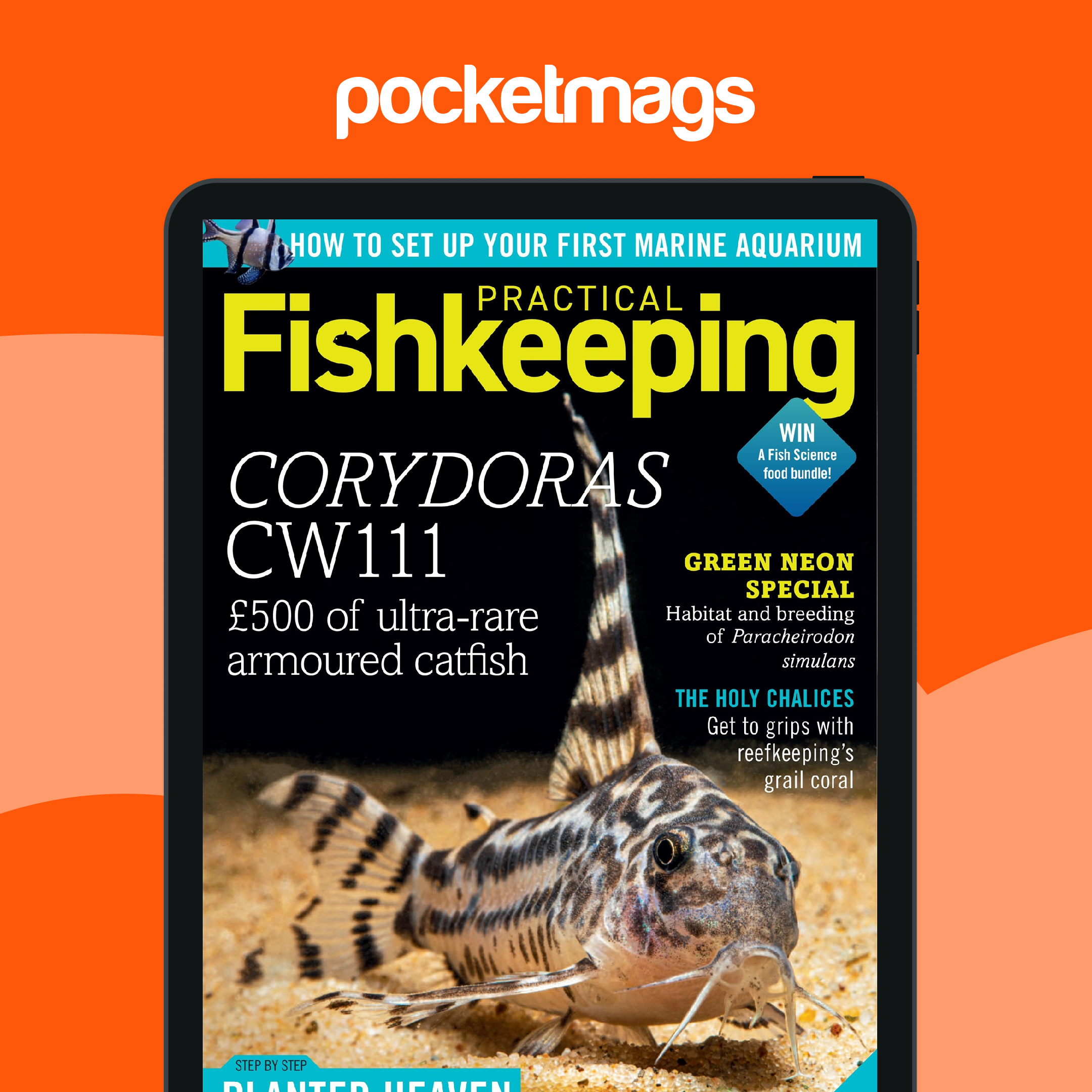 Fish Magazine Examples Practical Fishkeeping Magazine - Practical Fishkeeping Magazine July ...