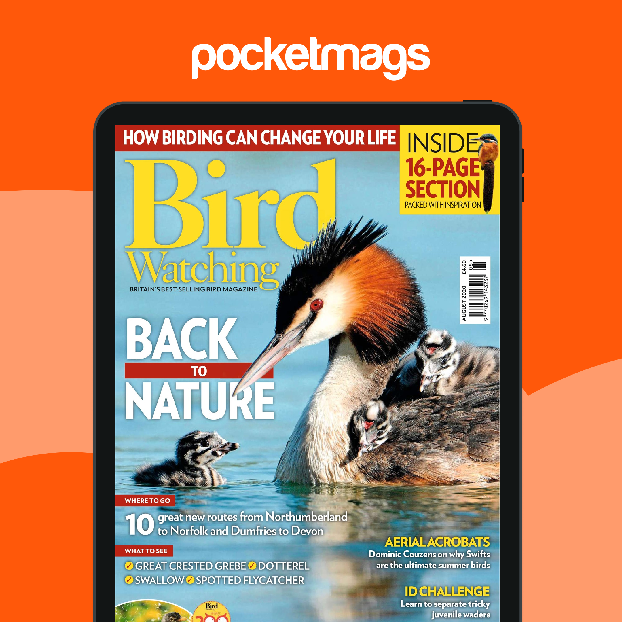 Bird Watching Magazine - Aug 20 Back Issue