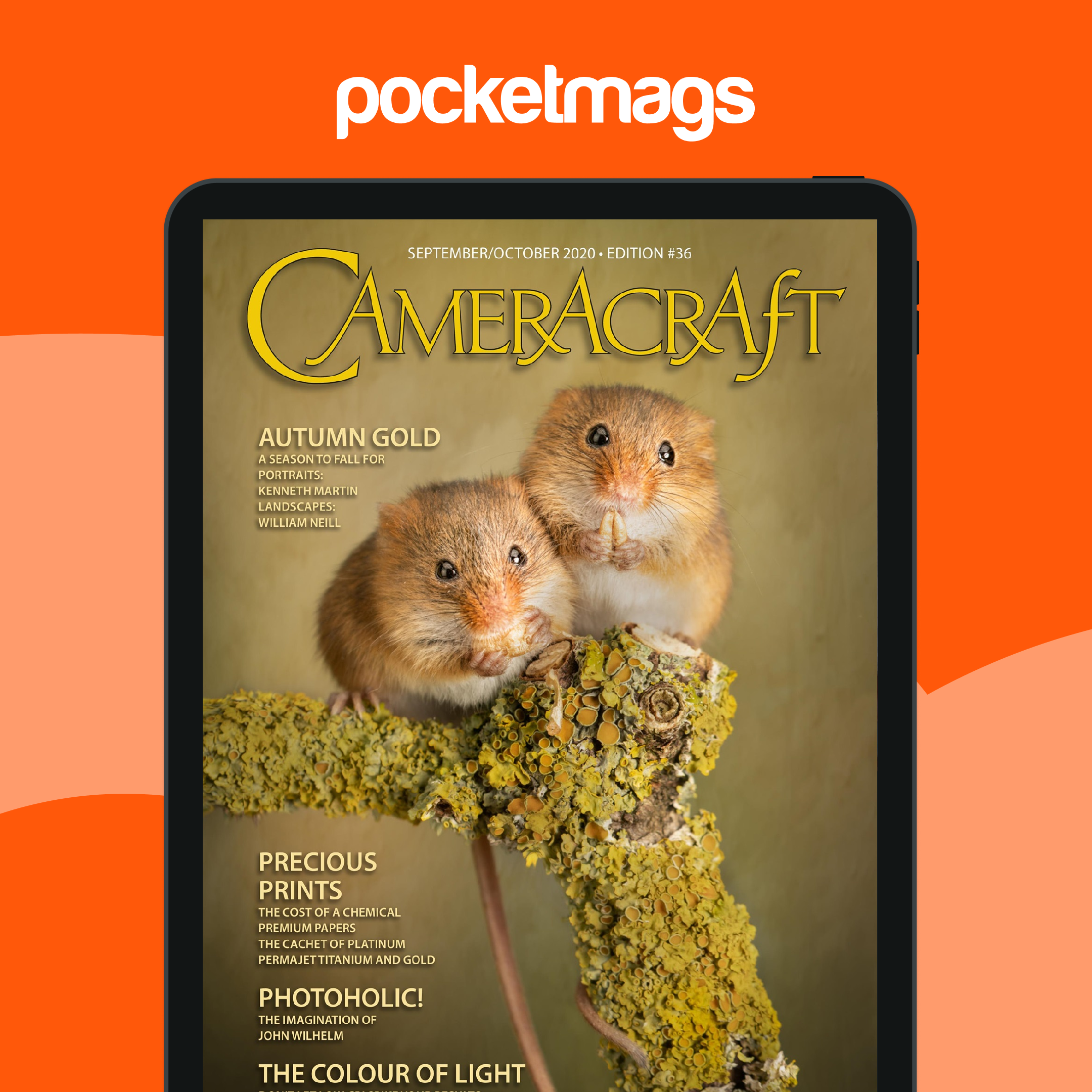 f2 Cameracraft Magazine - Sept/Oct 2020 Back Issue