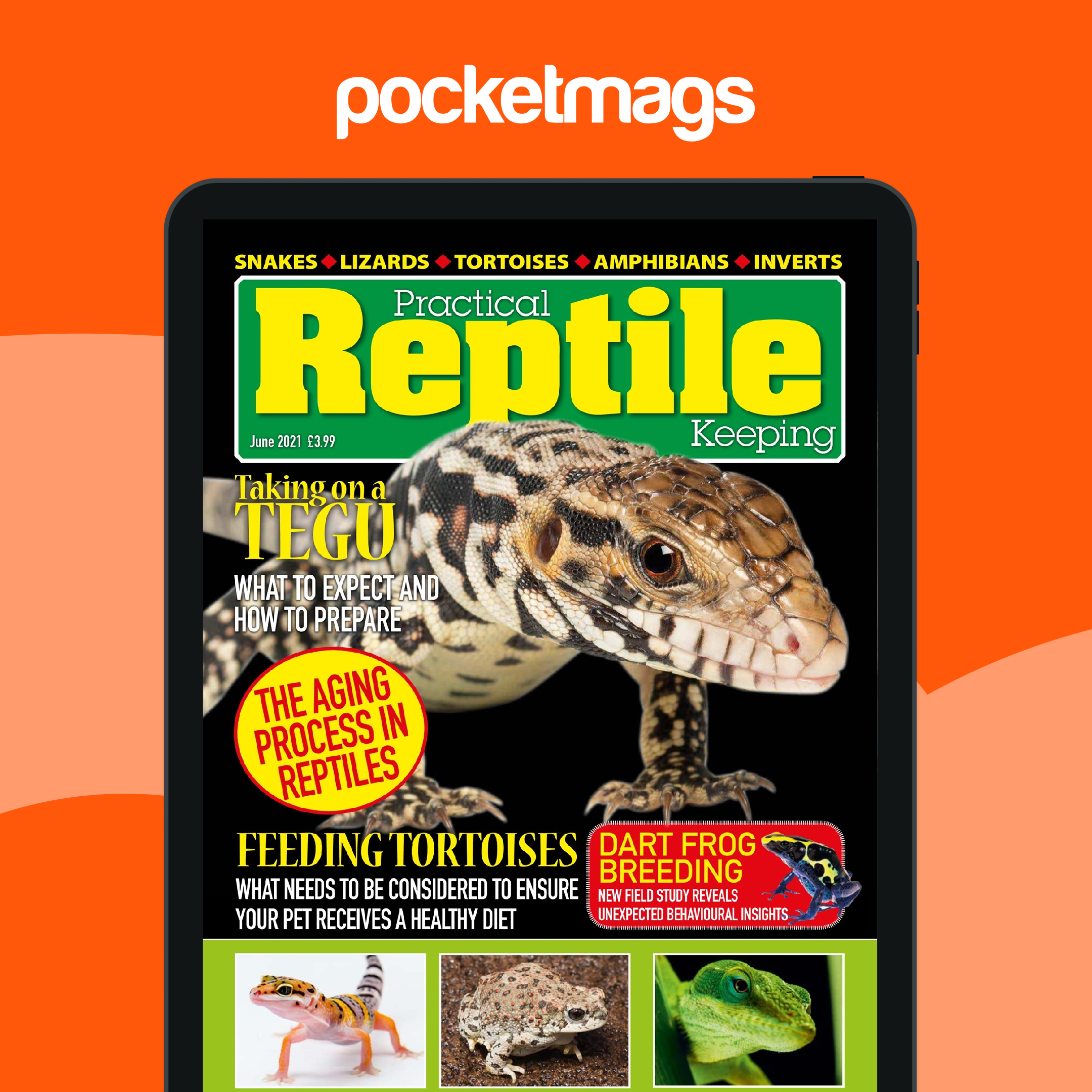 Practical Reptile Keeping Magazine - June 2021 Edición anterior