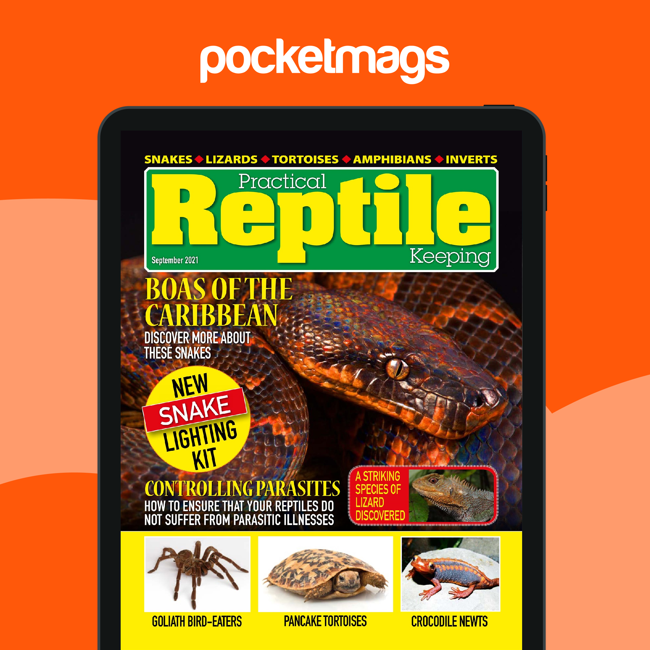 Practical Reptile Keeping Magazine - September 2021 Edición anterior
