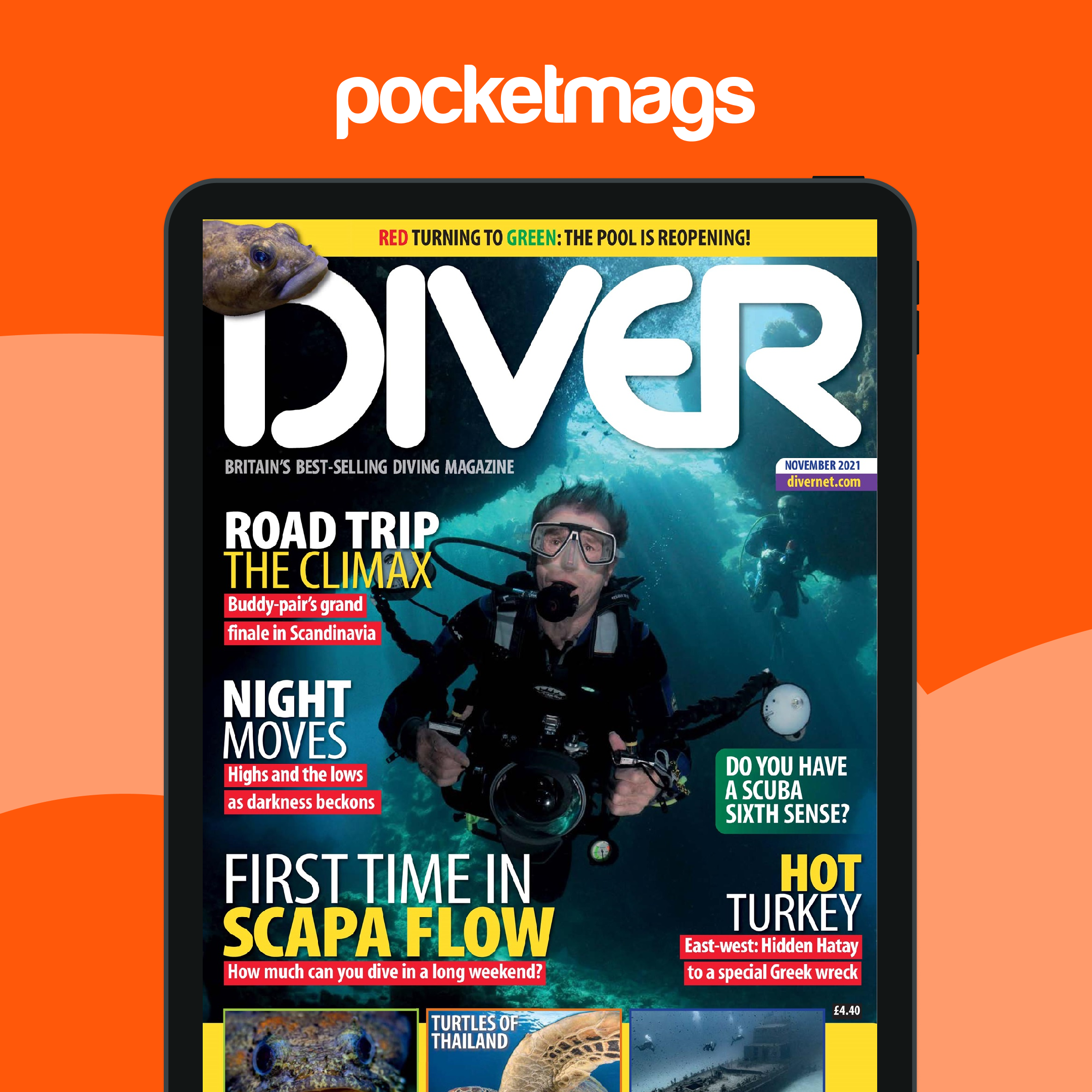 DIVER Magazine Subscriptions and NOVEMBER 2021 Issue