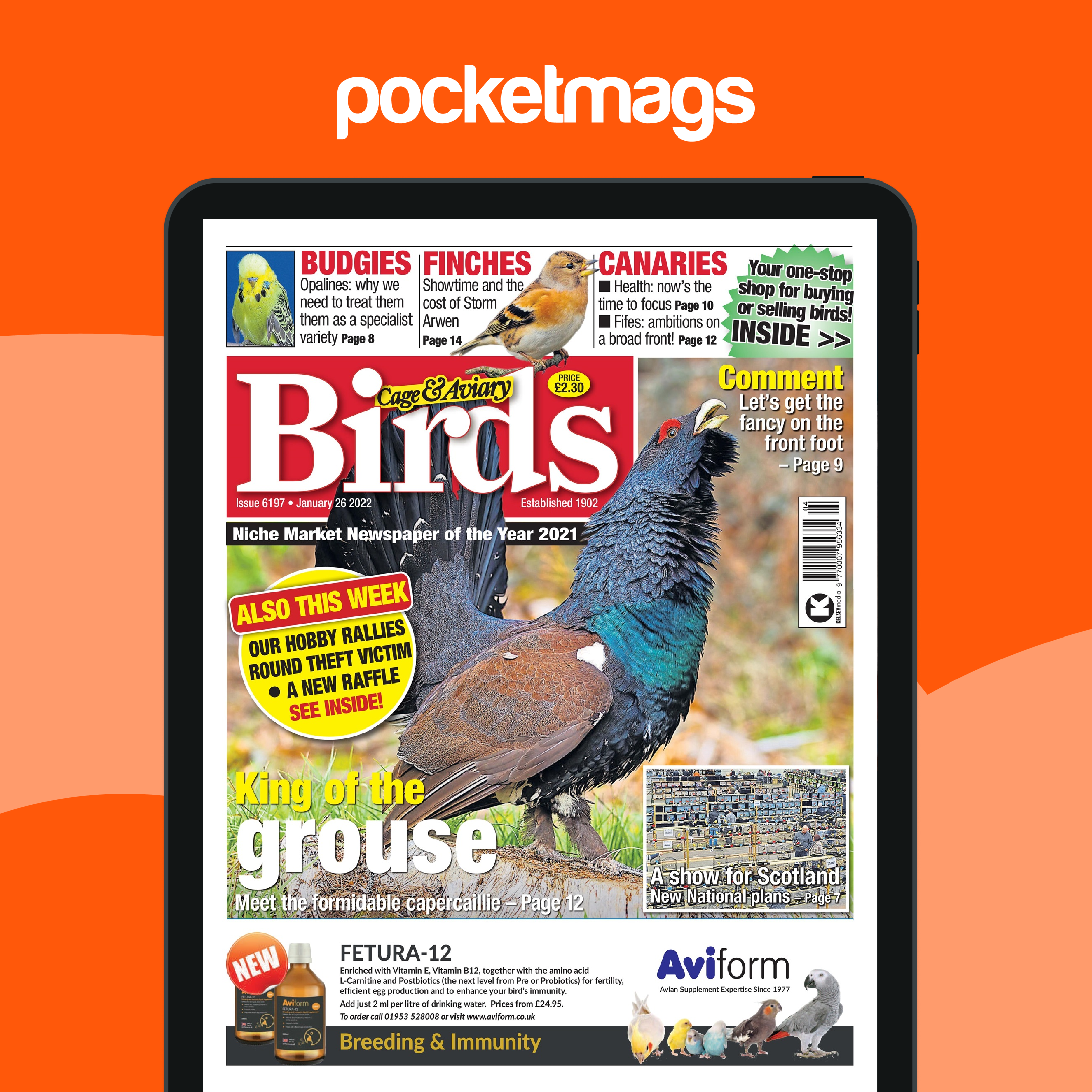 View of Cage & Aviary Birds Magazine - Jan 26 2022 Back Issue