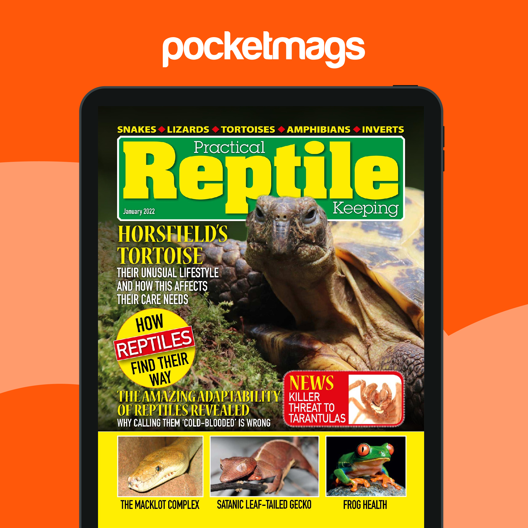 Practical Reptile Keeping Magazine - January 2022 Edición anterior