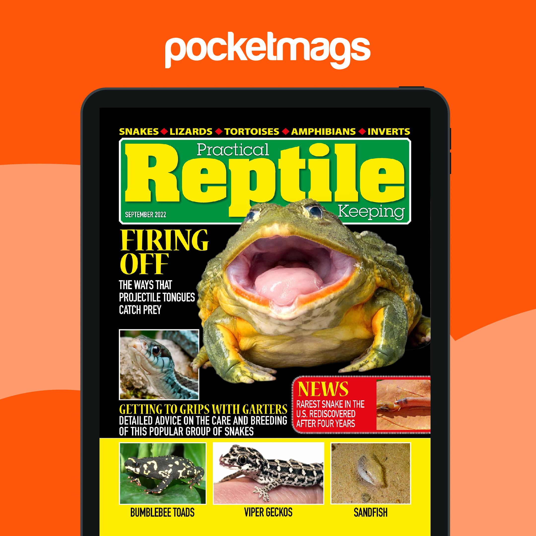 Practical Reptile Keeping Magazine - September 2022 Back Issue