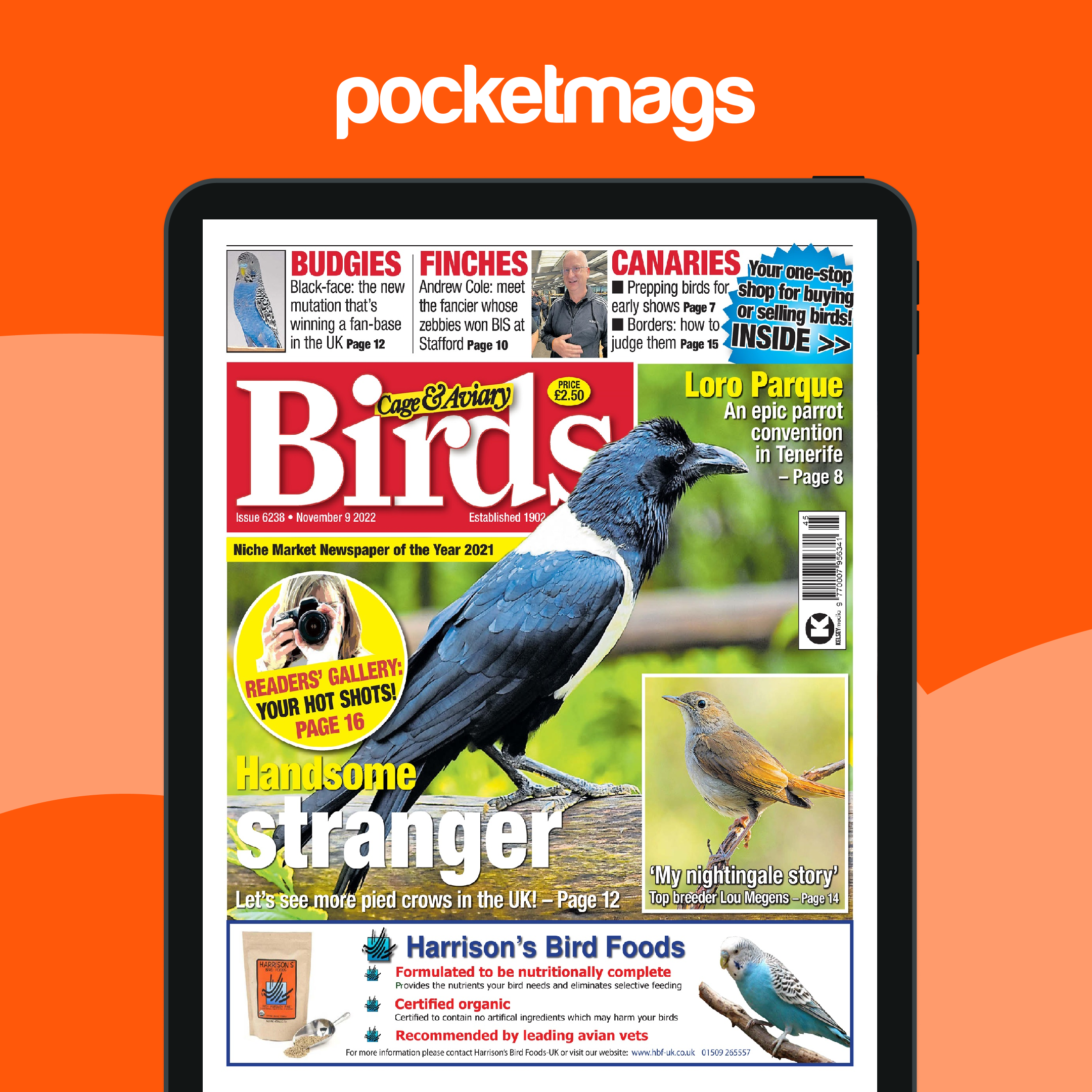 Cage & Aviary Birds Magazine - 9-Nov-22 Back Issue