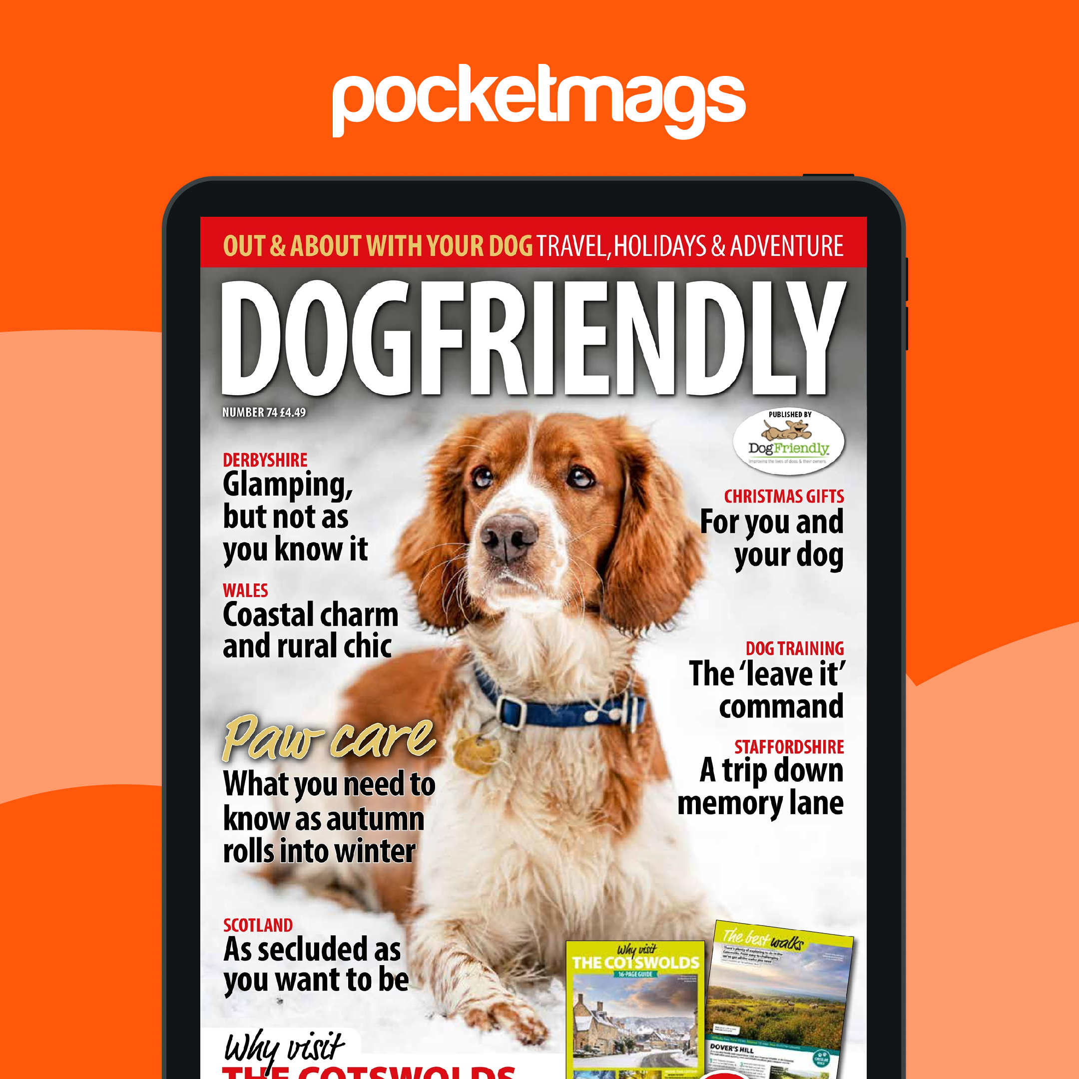 Dog Friendly Magazine FREE Sample Issue Special Issue
