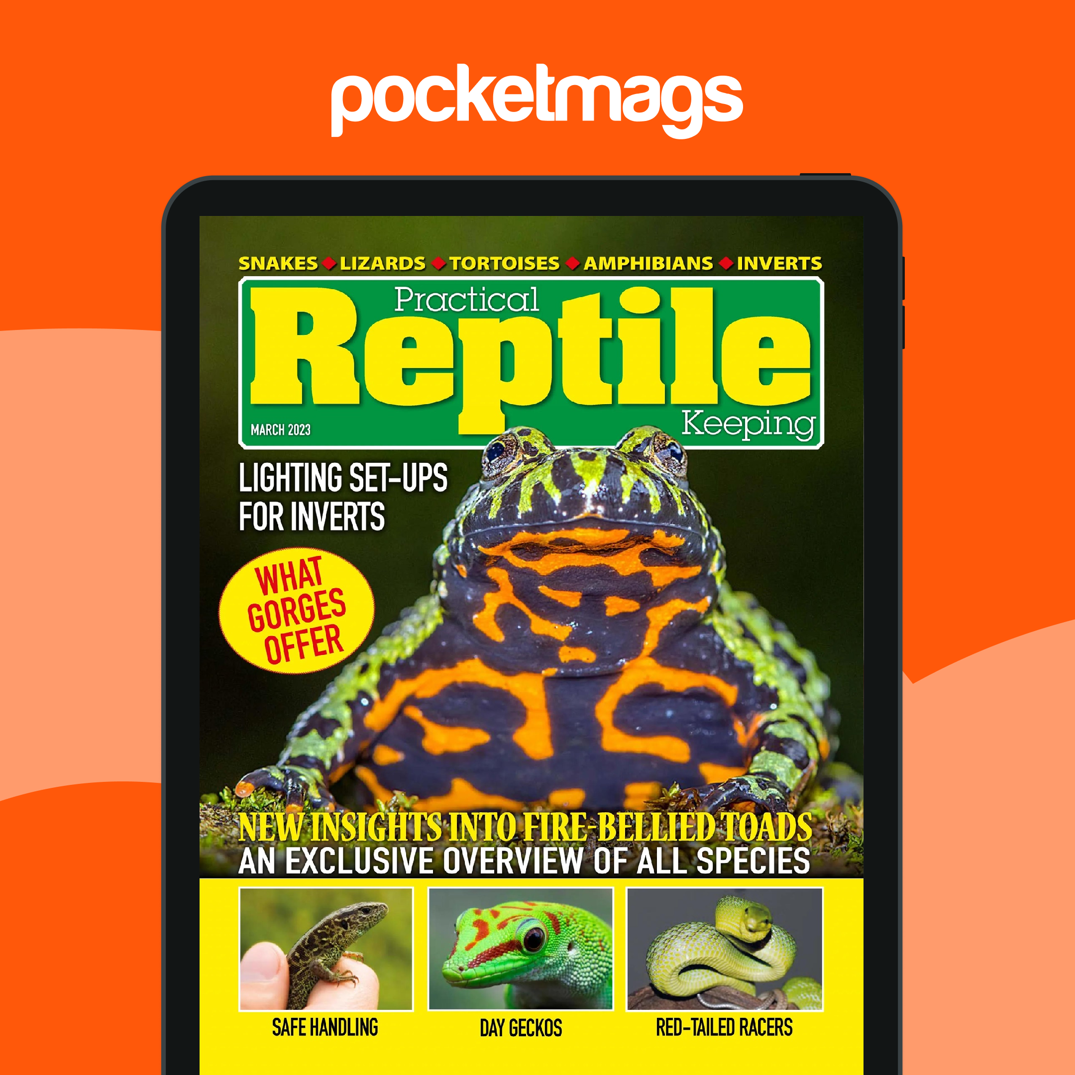 Practical Reptile Keeping Magazine - March 2023 Edición anterior