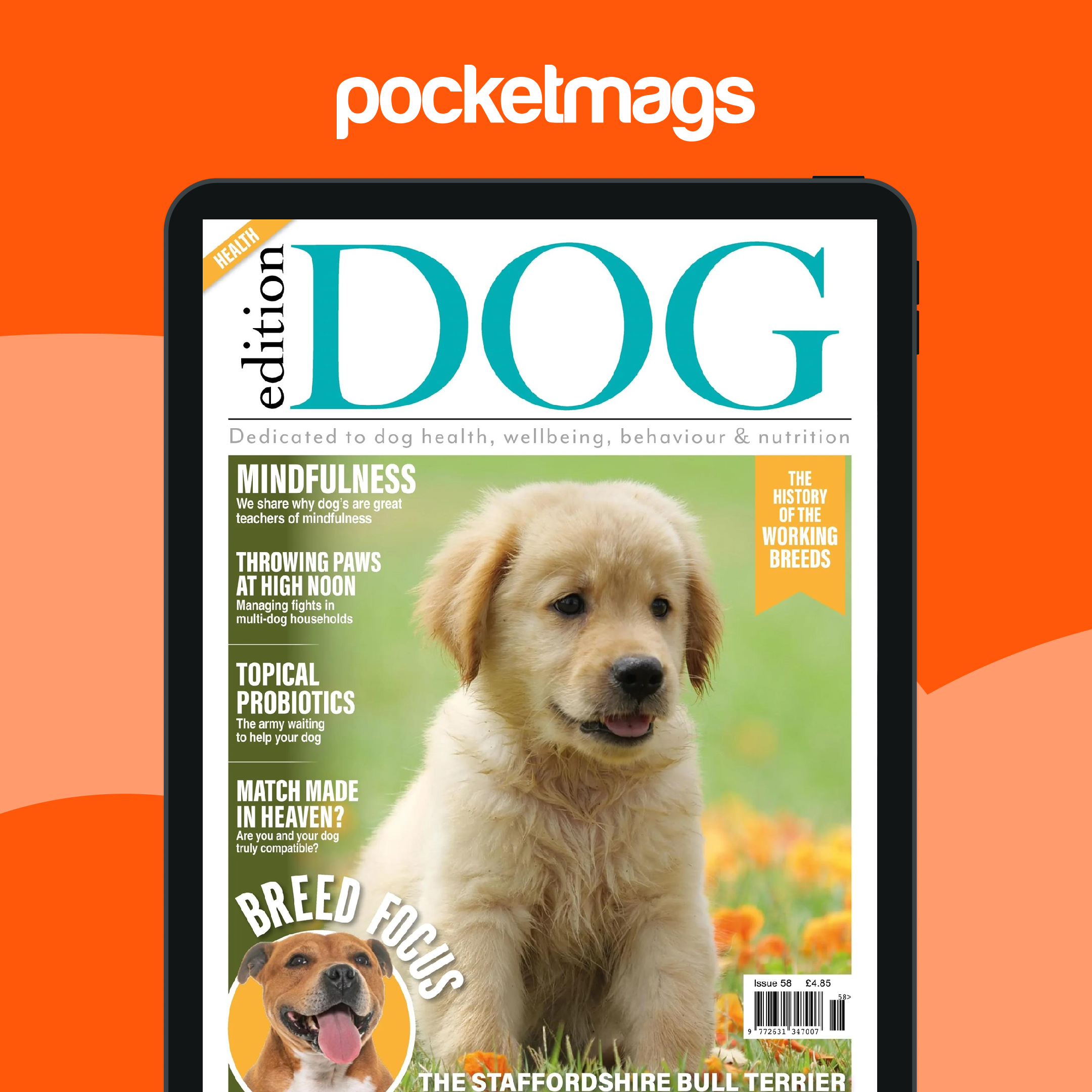 Edition Dog Magazine - Edition Dog Issue 58 Edición anterior