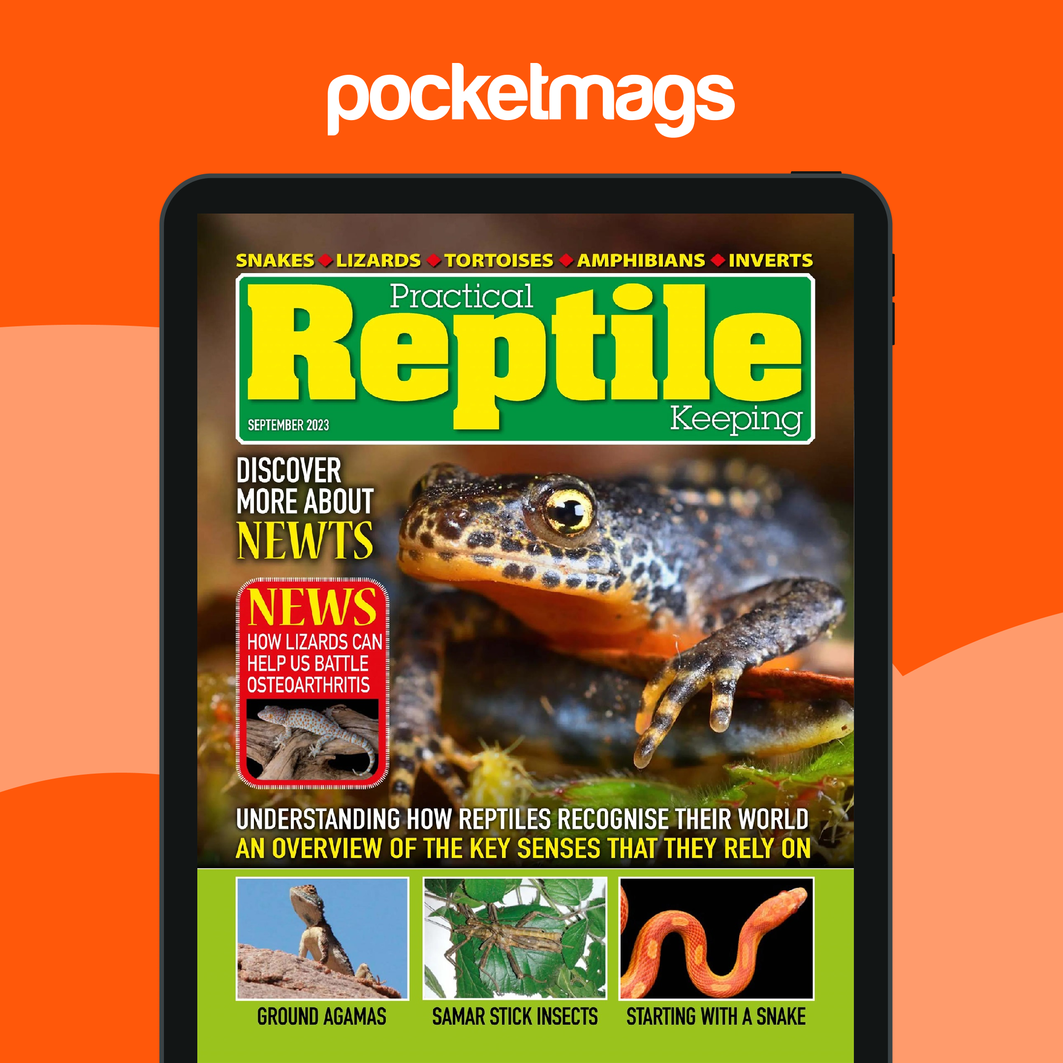 Practical Reptile Keeping Magazine - September 2023 Back Issue