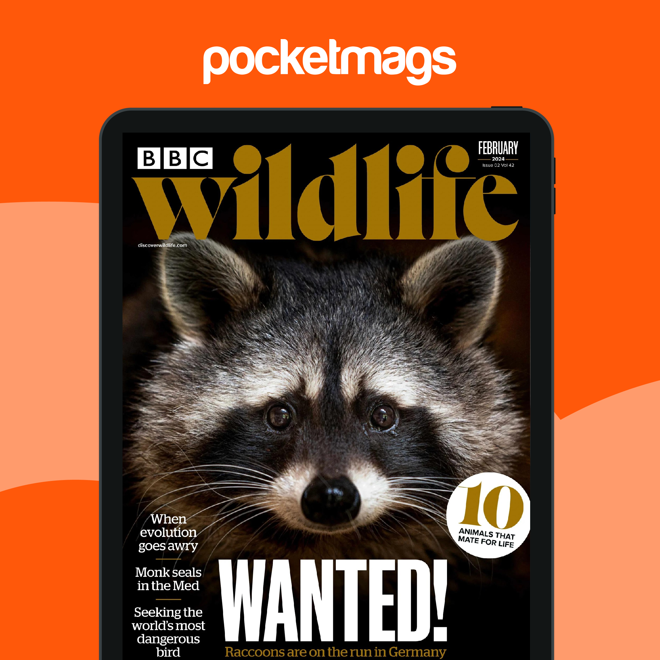 BBC Wildlife Magazine - February 2024 Back Issue