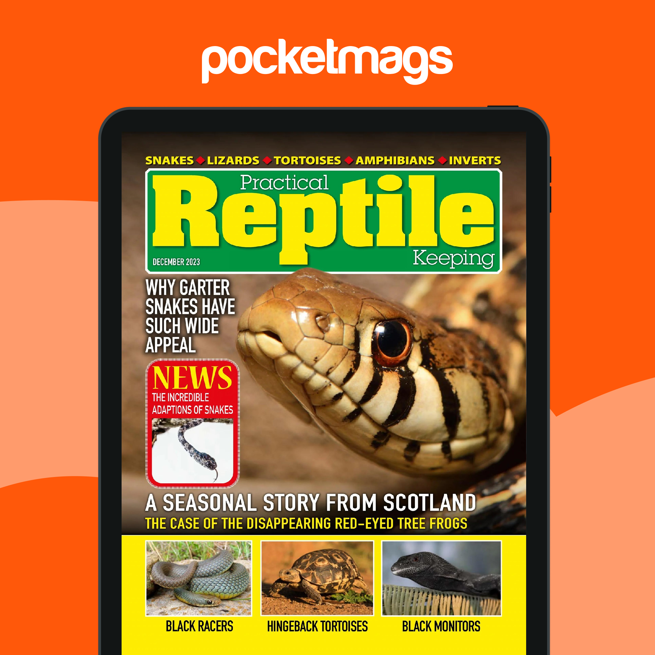 Practical Reptile Keeping Magazine - December 2023 Back Issue