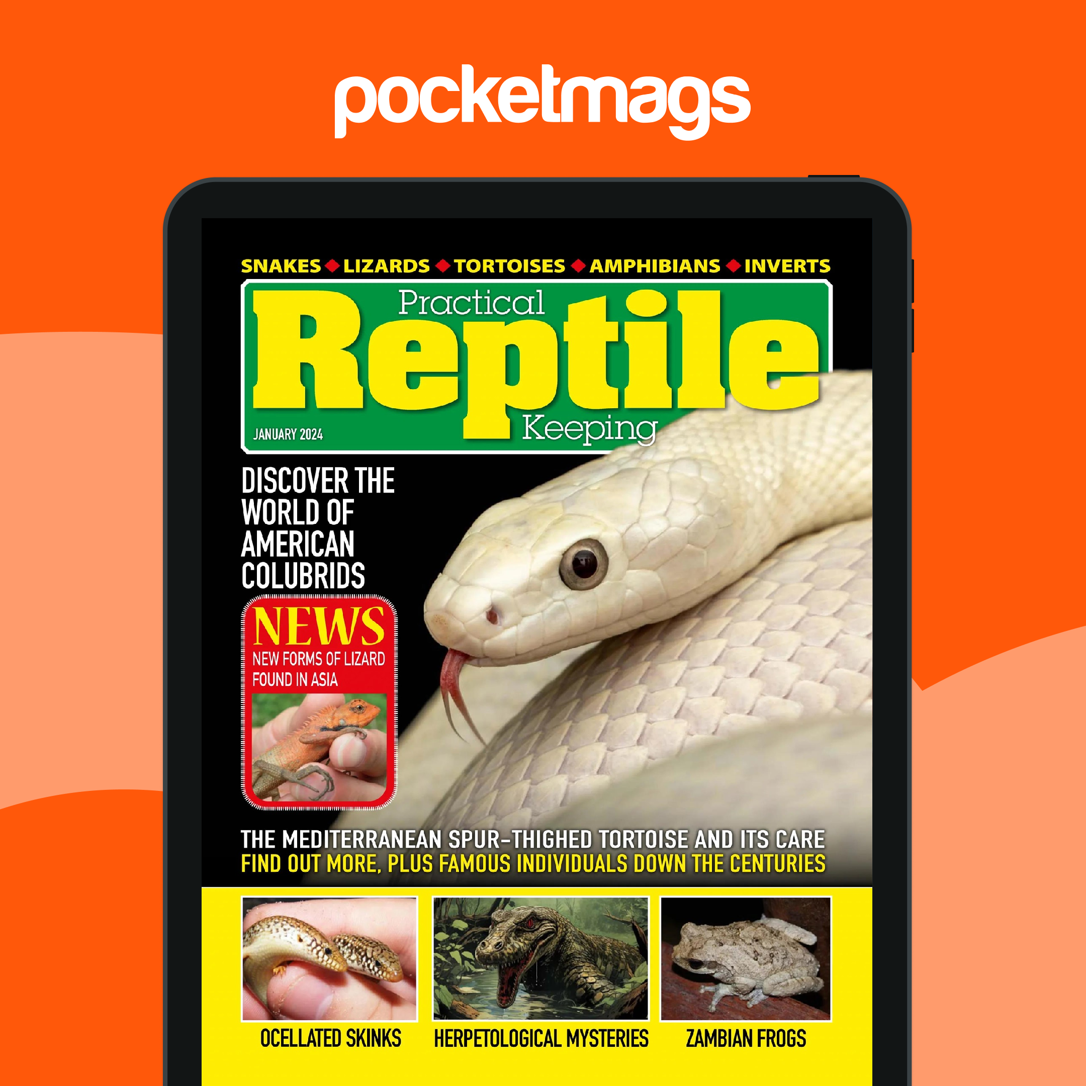 Practical Reptile Keeping Magazine - January 2024 Back Issue