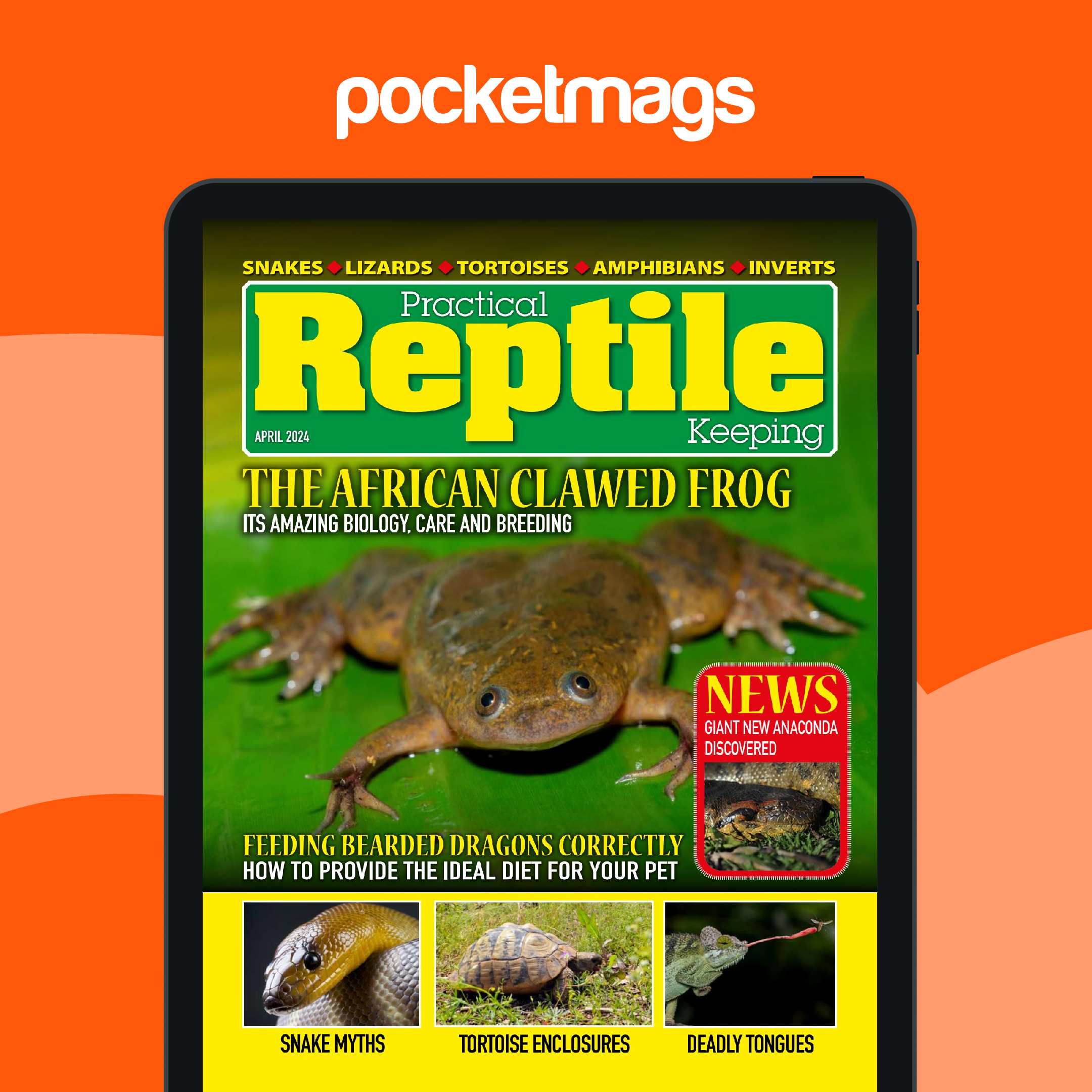 Practical Reptile Keeping Magazine - April 2024 Edición anterior