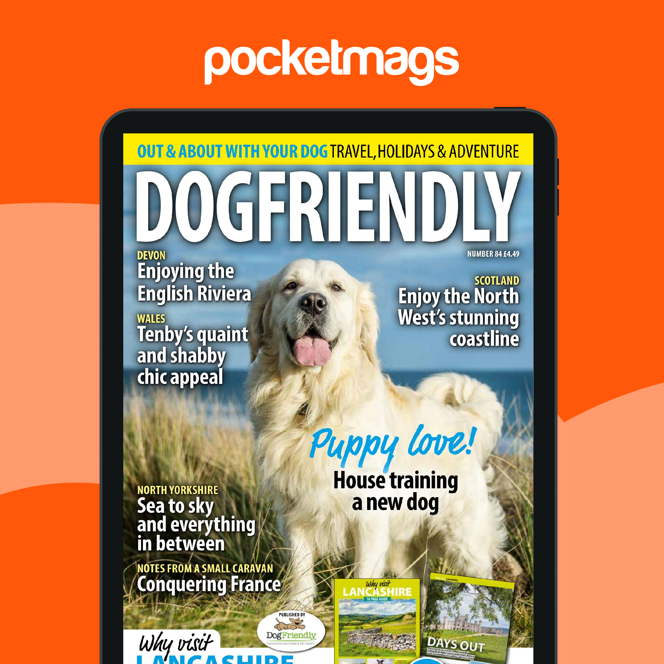 Dog Friendly Magazine Jul-Aug 24 Back Issue