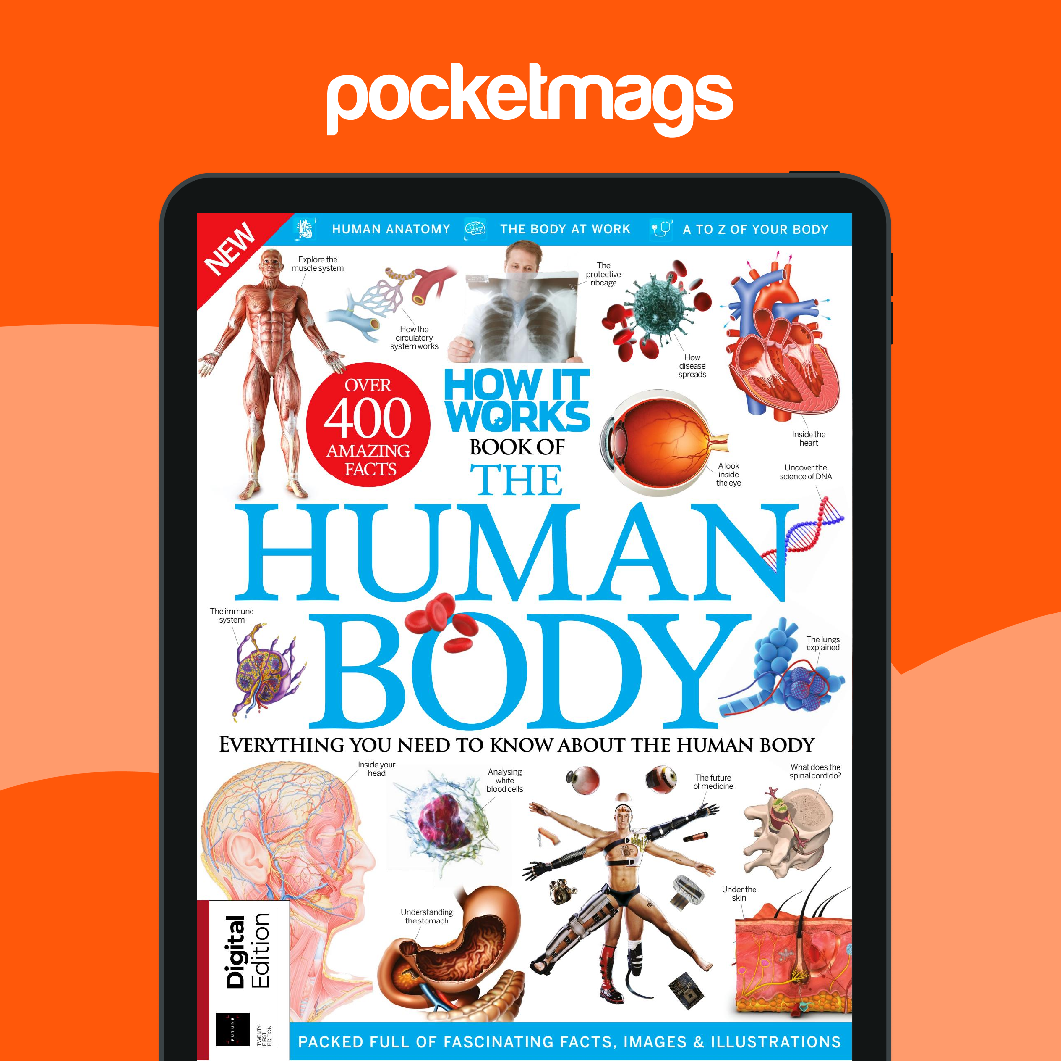 How It Works Book Of The Human Body How It Works Book Of The Human Body