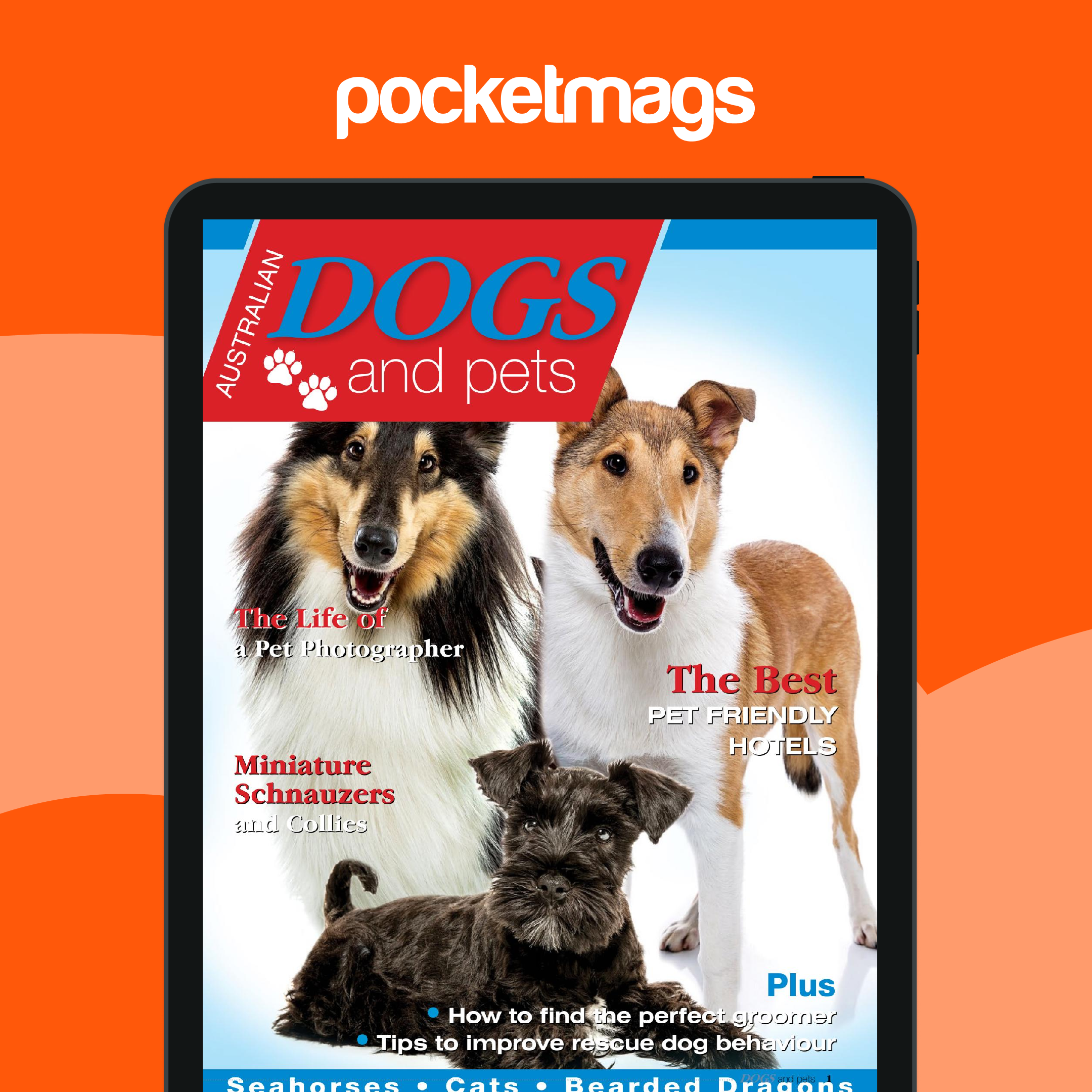 Pets Allowed Dog Friendly Near Me Hotels Pets Near Me Pet Friendly