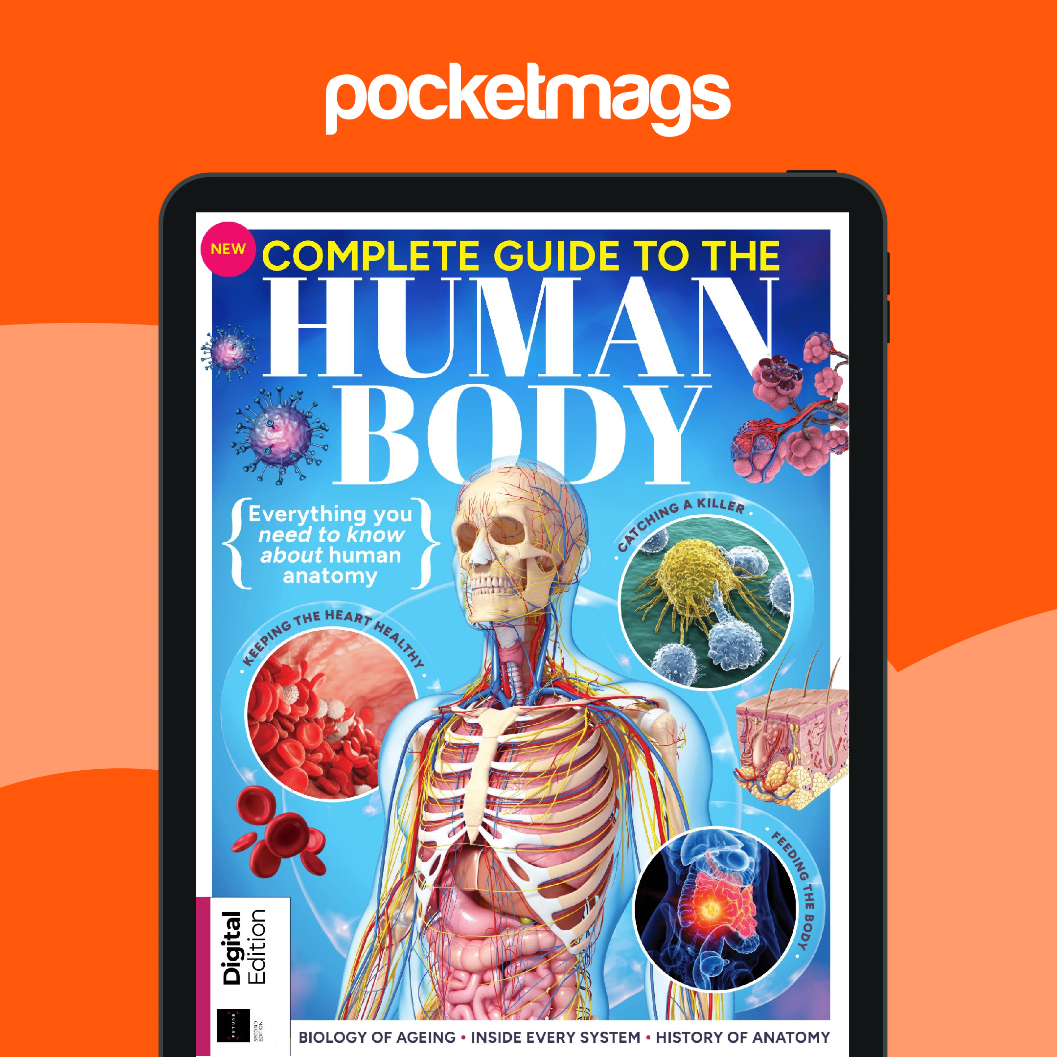 洋書 THE COMPLETE HUMAN BODY 2nd Edition The Complete Human Body, 2nd Edition: The Definitive Visual Guide