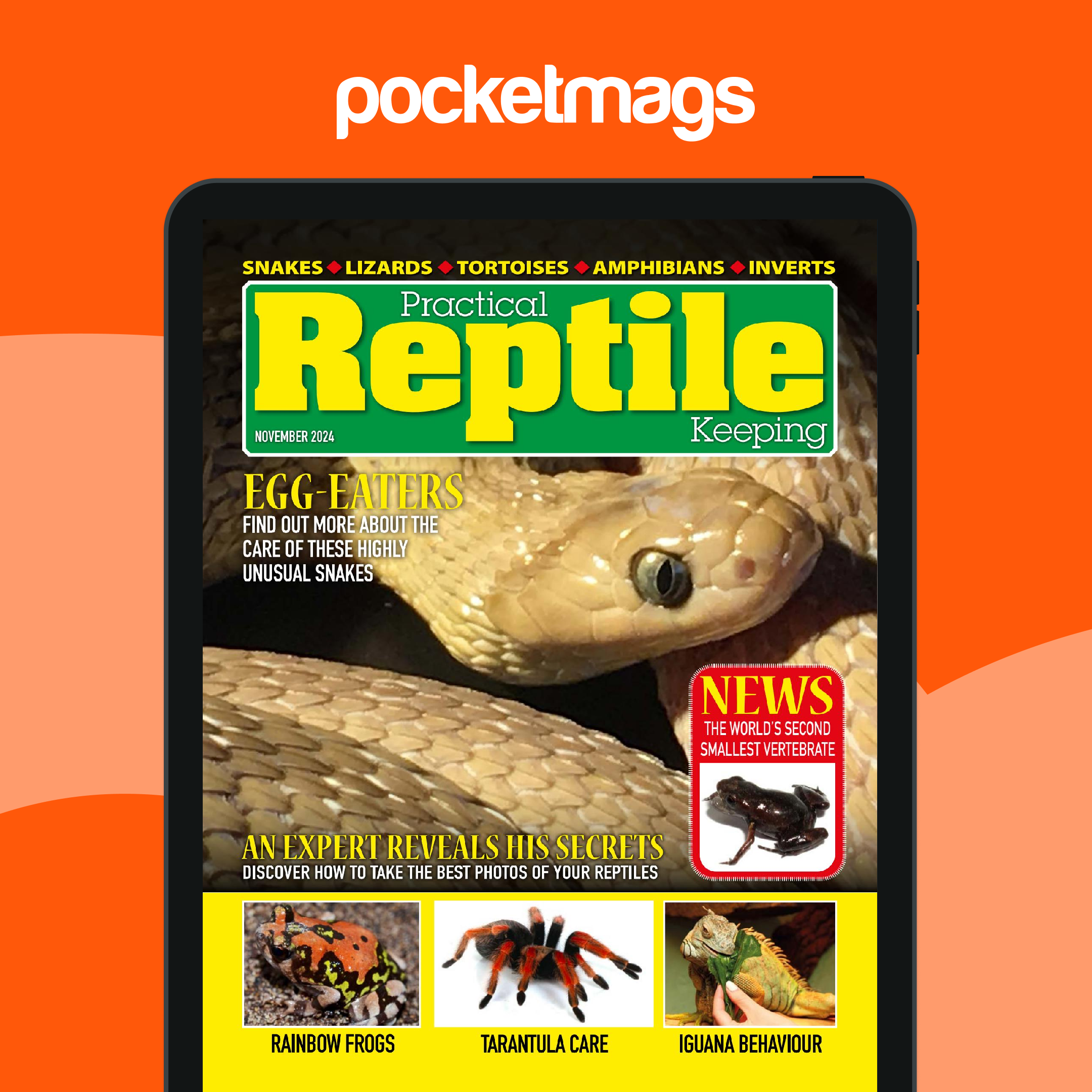 Practical Reptile Keeping Magazine - November 2024 Back Issue