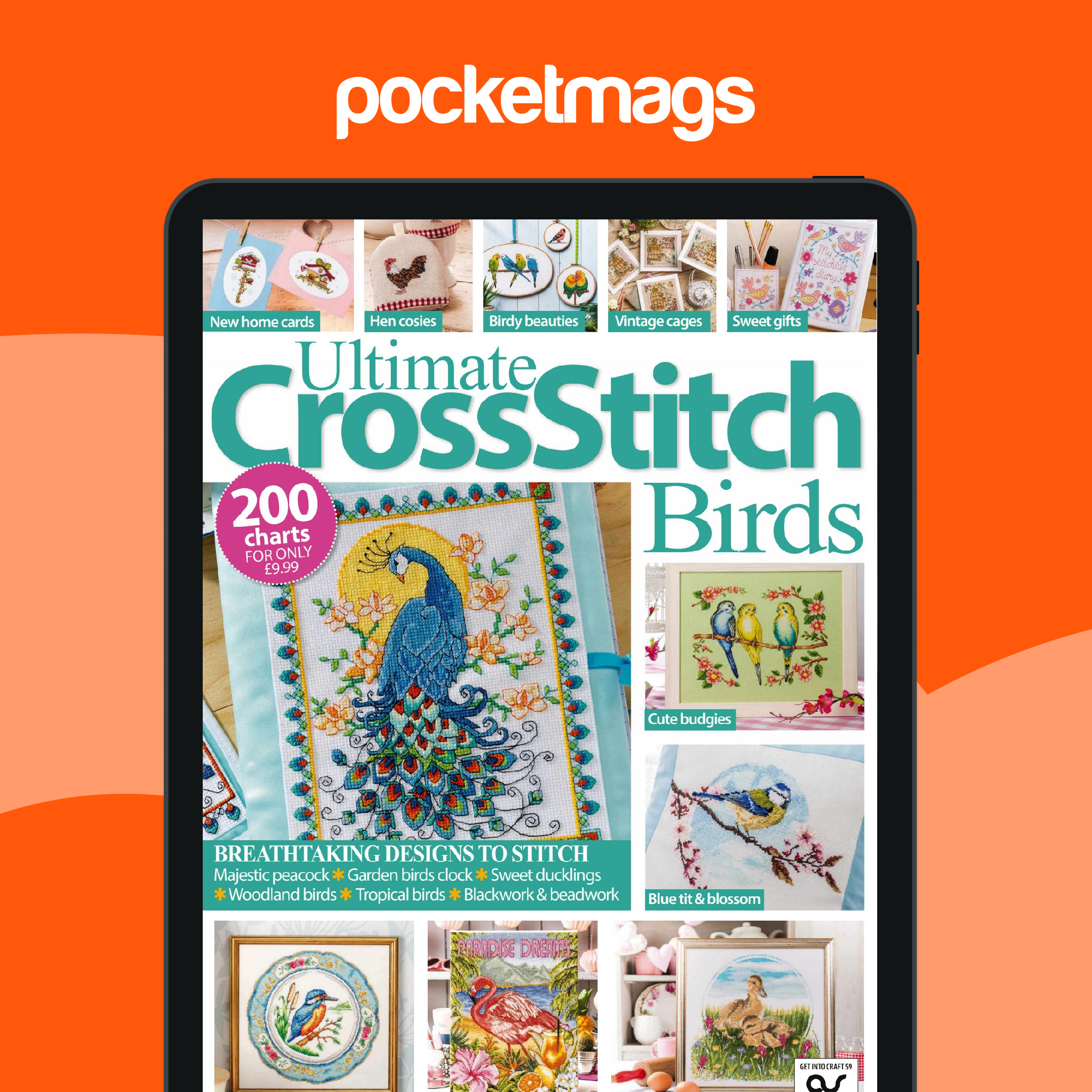 Kit Point De Croix Compté 'Birdhouse' (Maison D'oiseaux) - Modèle, Toile Aida Et Fils Inclus