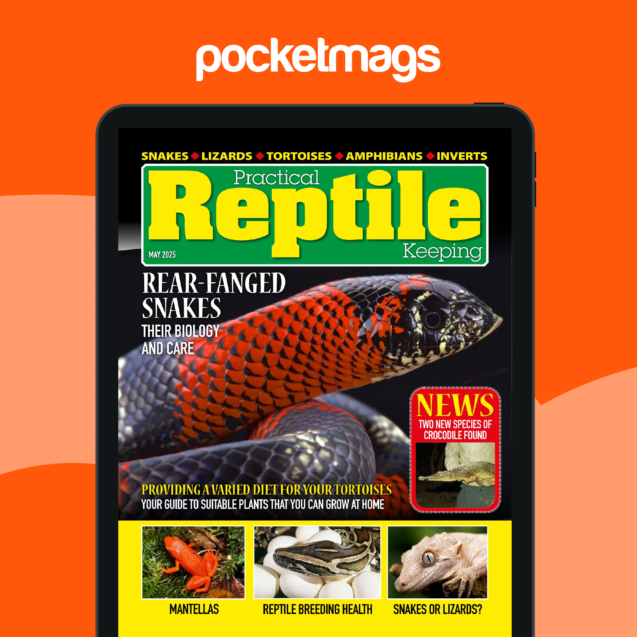 Practical Reptile Keeping Magazine - May 2025 Edição anterior