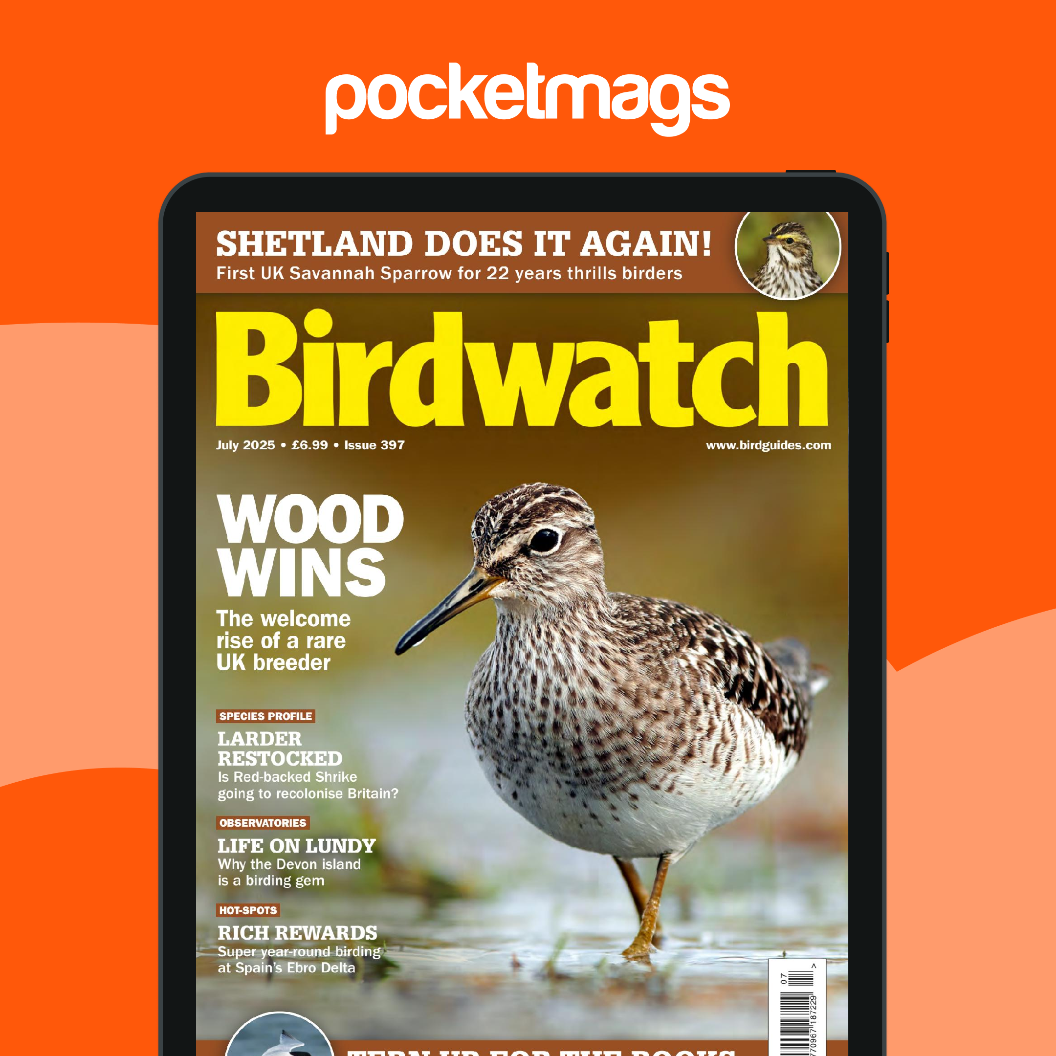 Birdwatch Magazine - July 2025 Back Issue