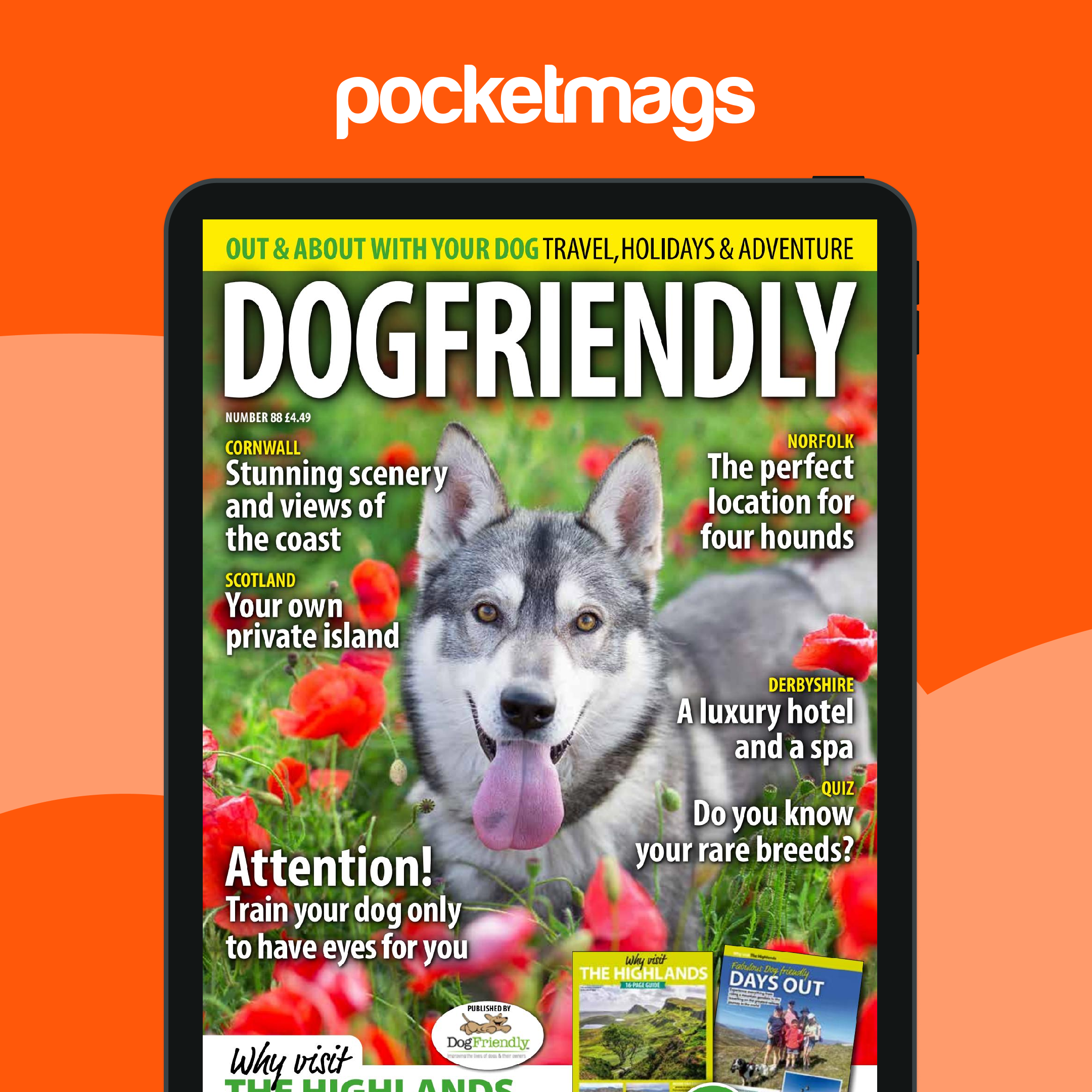 Dog Friendly Magazine May-Jun 25 Back Issue