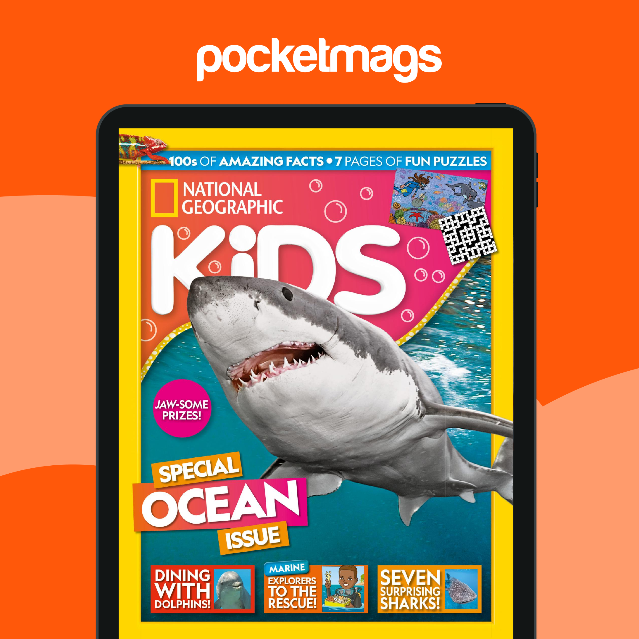National Geographic Kids 153冊他 National Geographic Kids Explore! Workbook Kindergarten