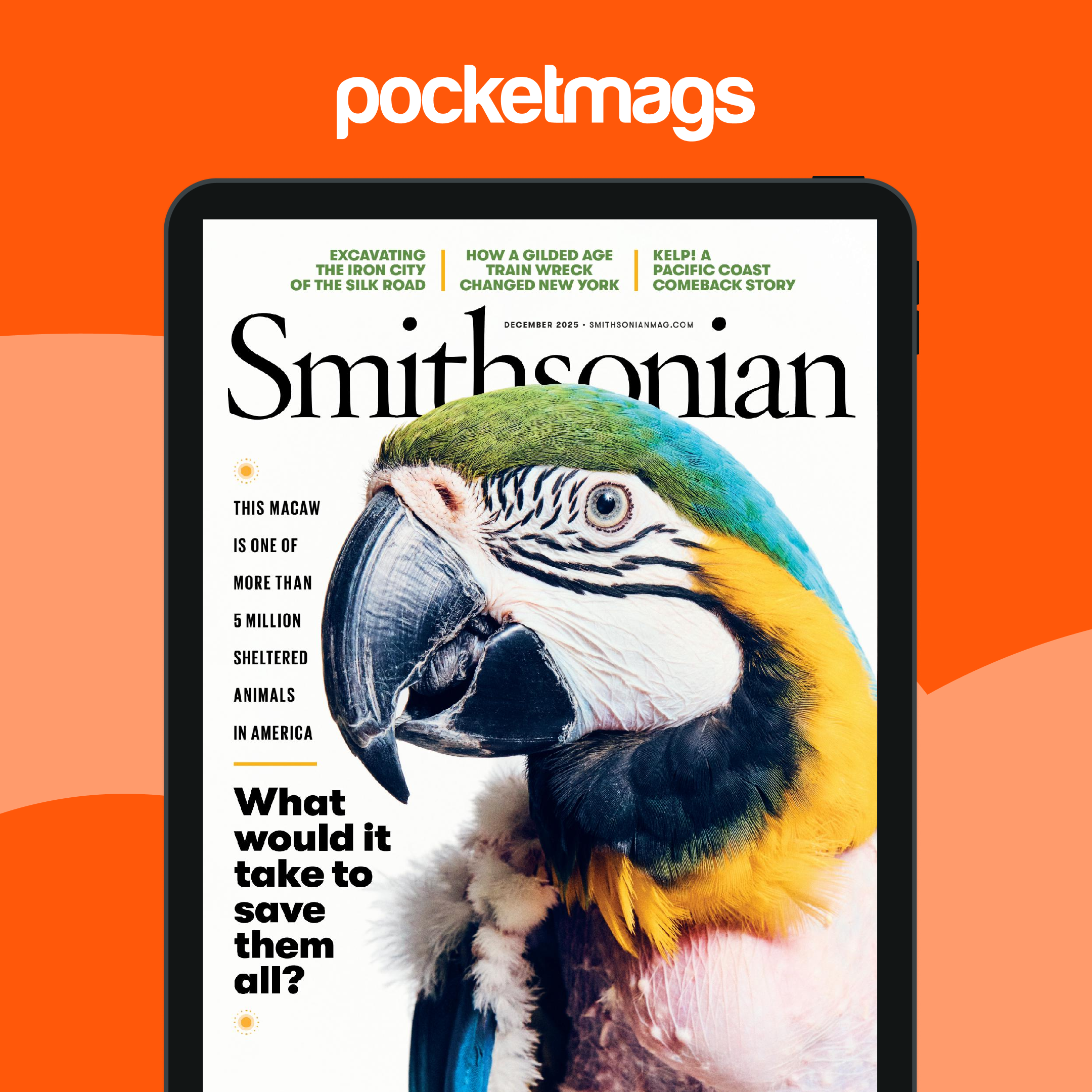 Smithsonian Magazine - December 2025 Edición anterior