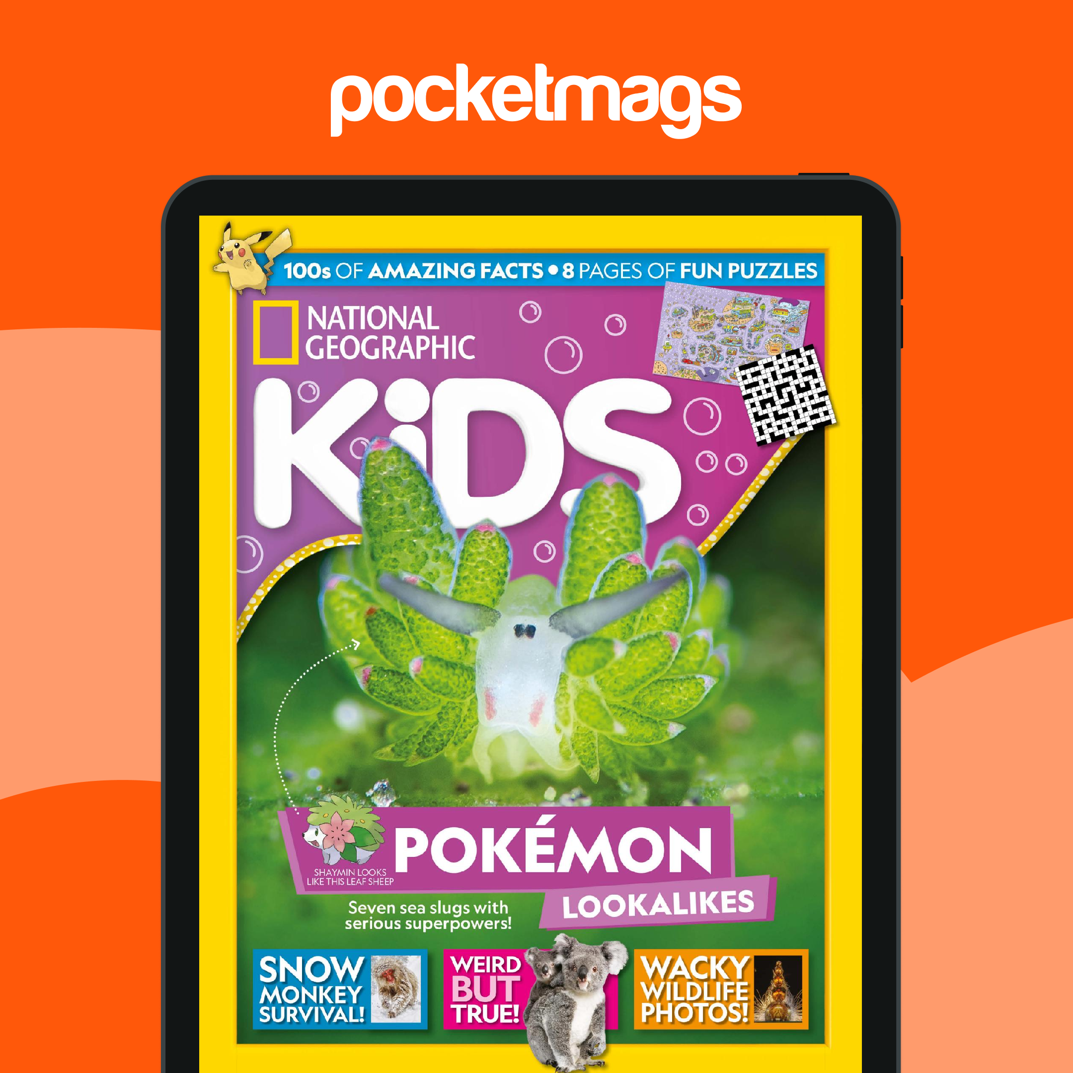 National Geographic Kids Magazine Subscriptions and Issue 252 Issue
