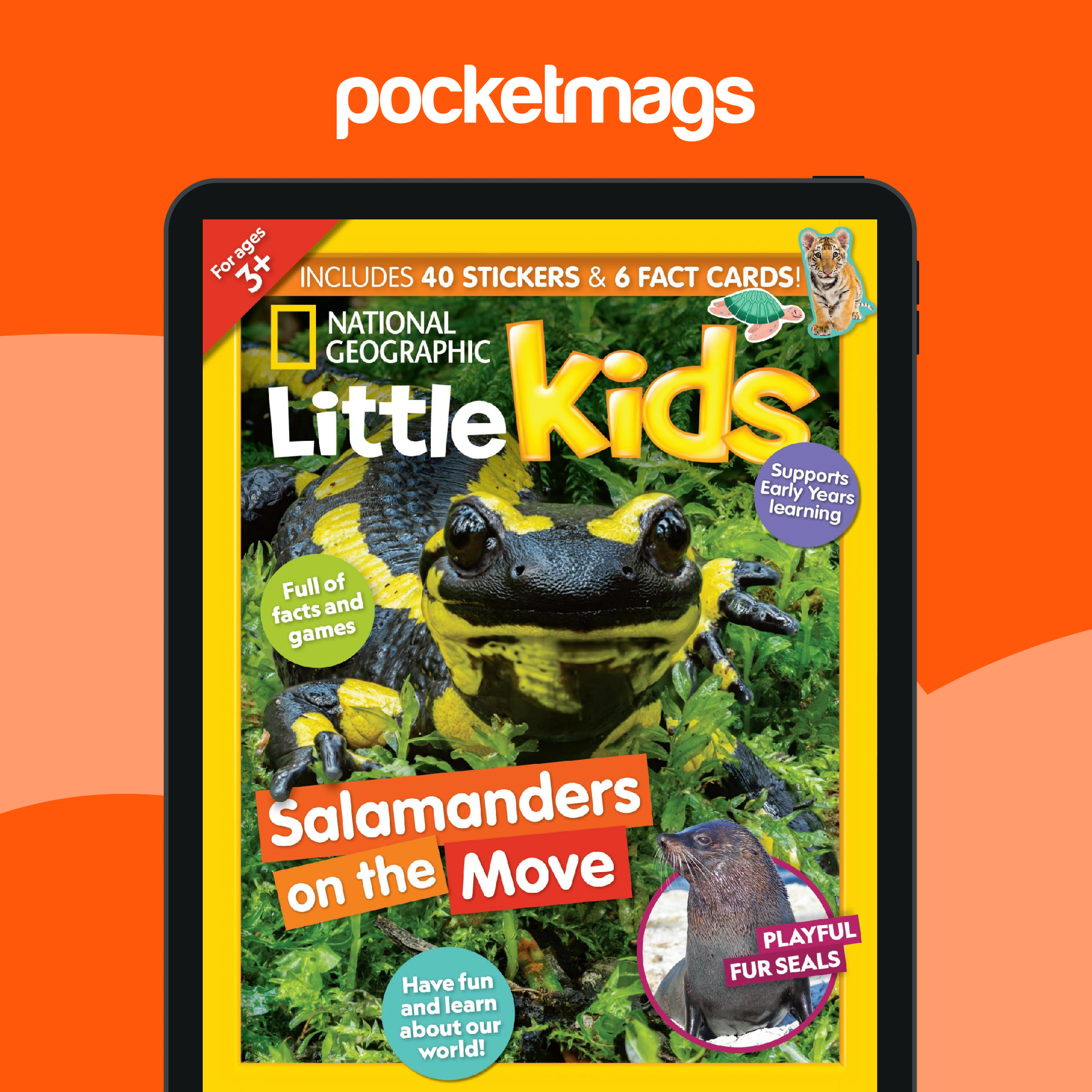 National Geographic Little Kids Magazine Subscriptions and Issue